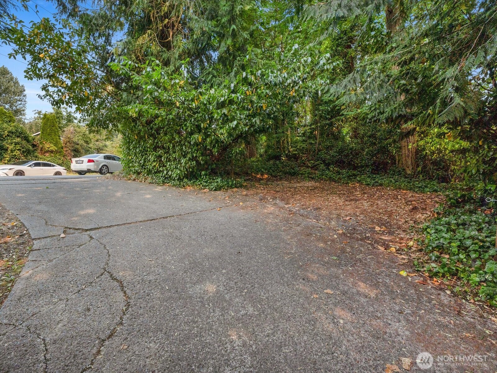 10830 Lake View Drive Property Photo 36