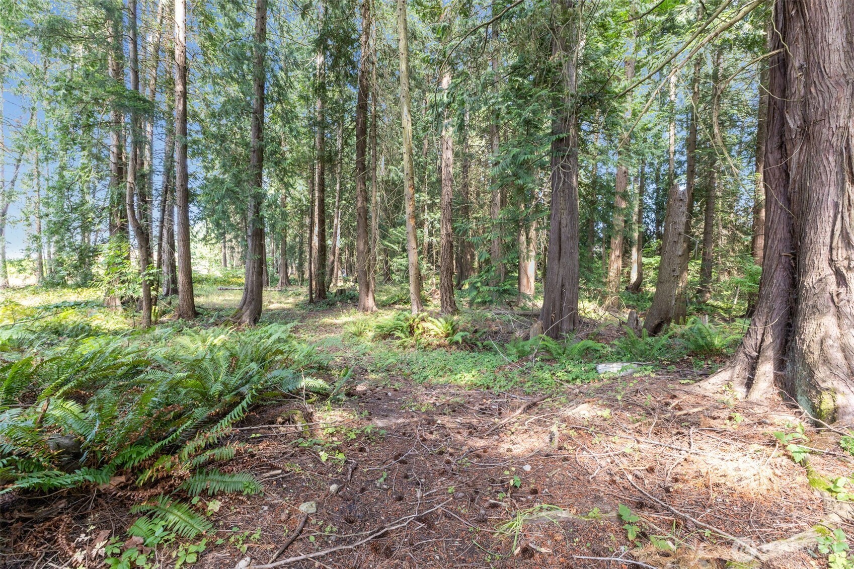 7411 Myers Road Property Photo 15