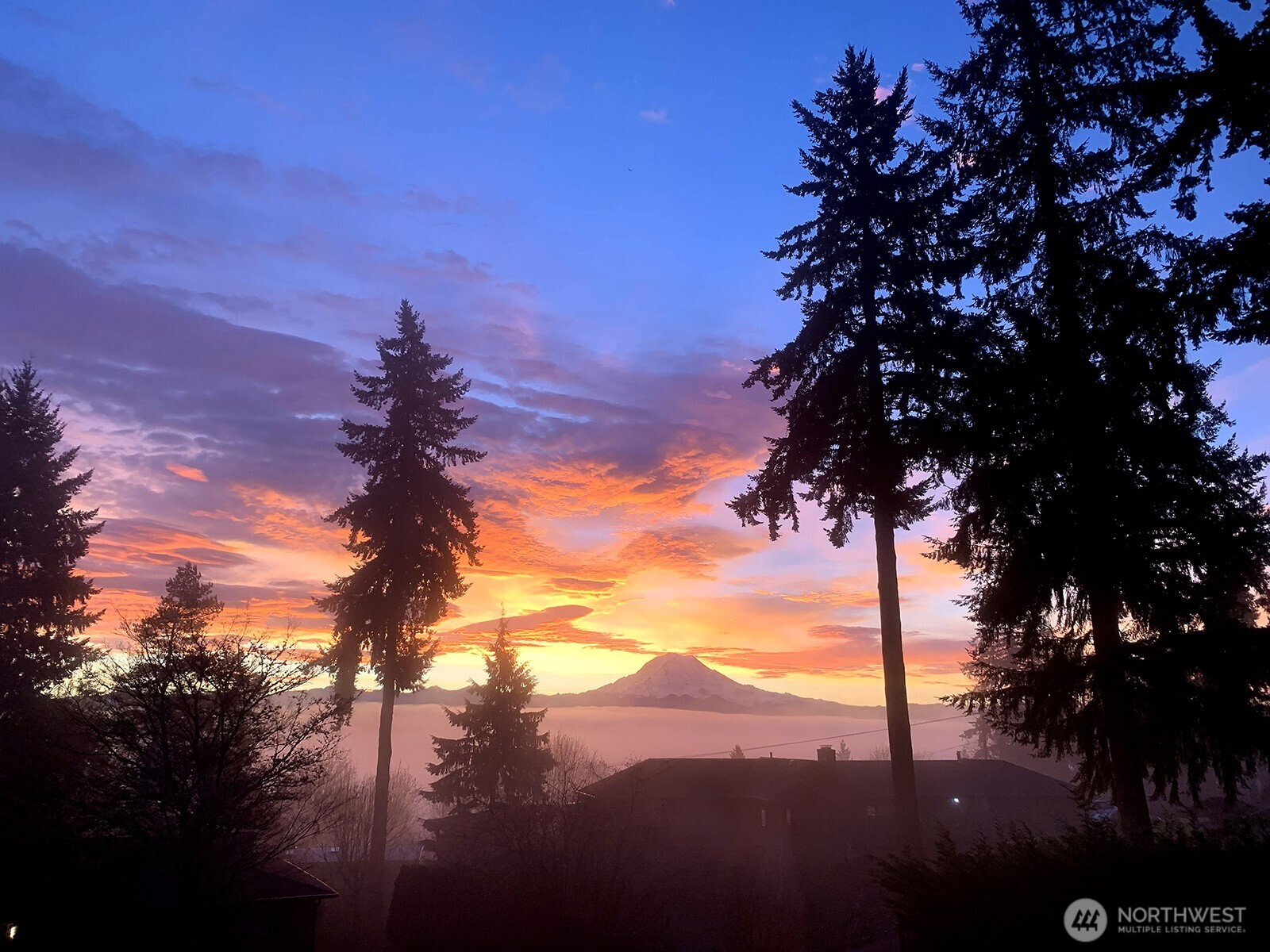 13807 Military Road Property Photo 2