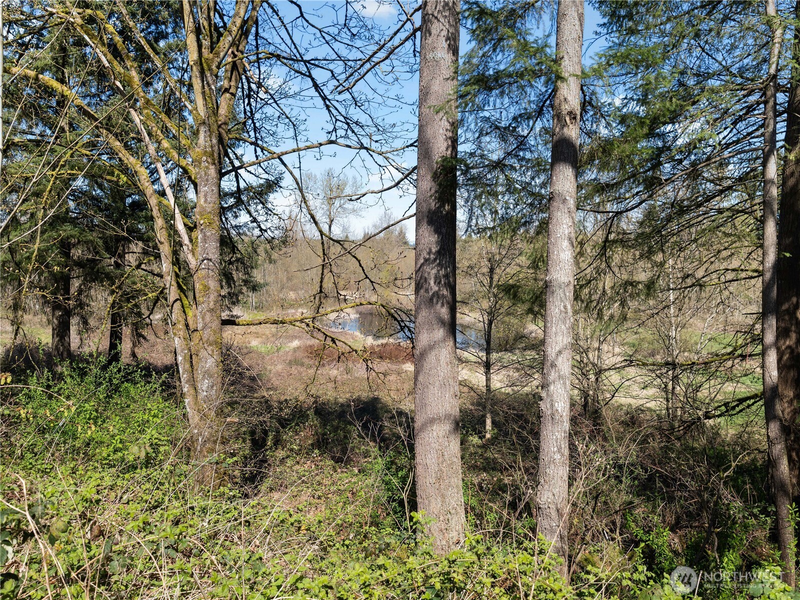 41298 214th Avenue Property Photo 33