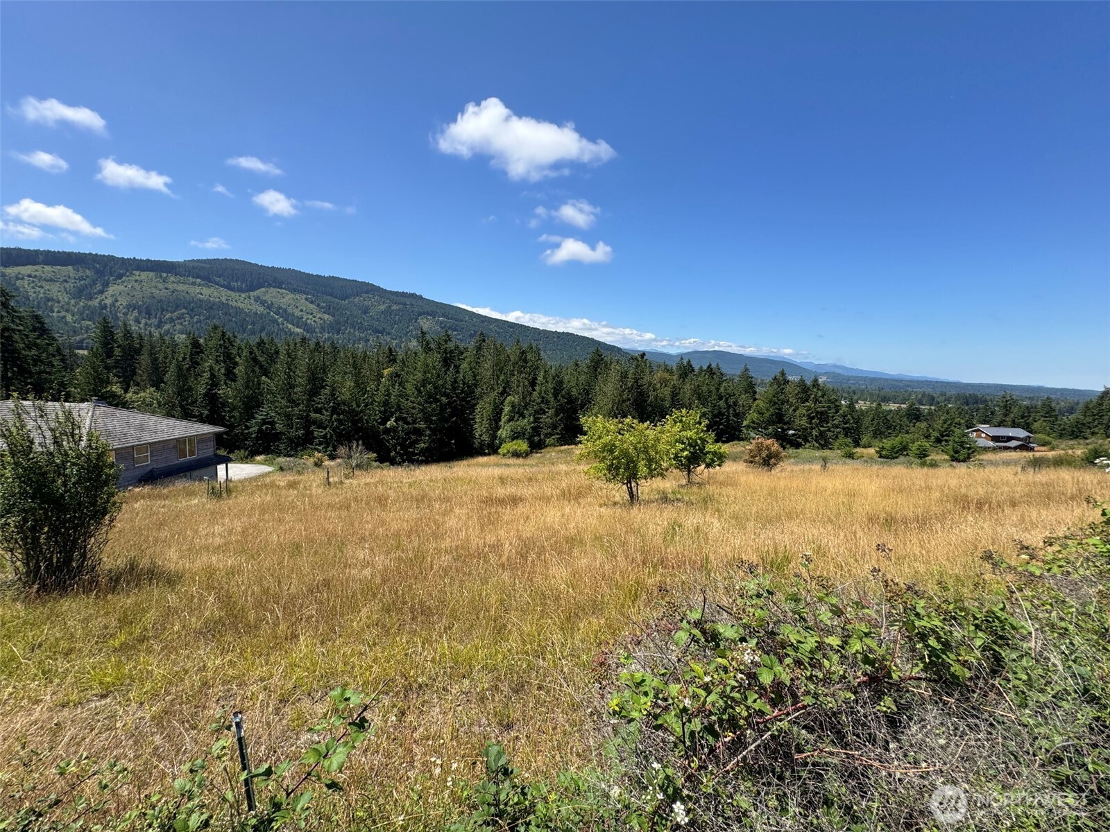 183 Hillside Drive Property Photo 17