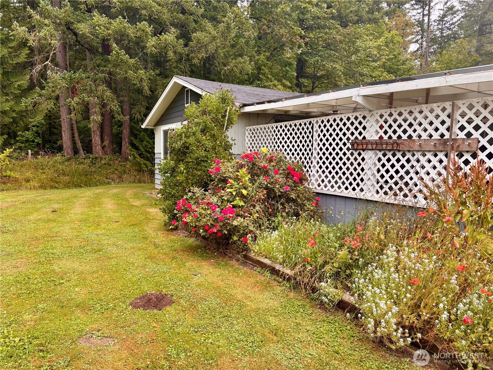 38519 Eatonville Cut Off Road Property Photo 4