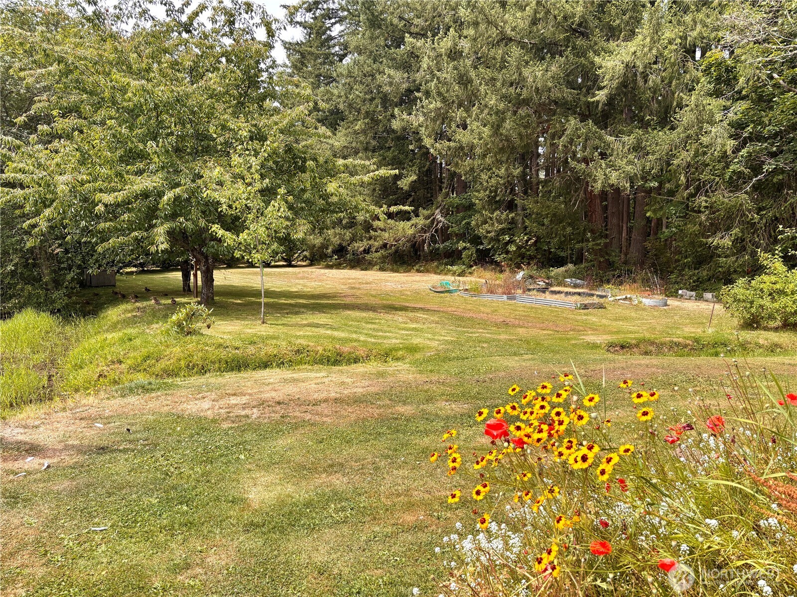 38519 Eatonville Cut Off Road Property Photo 14