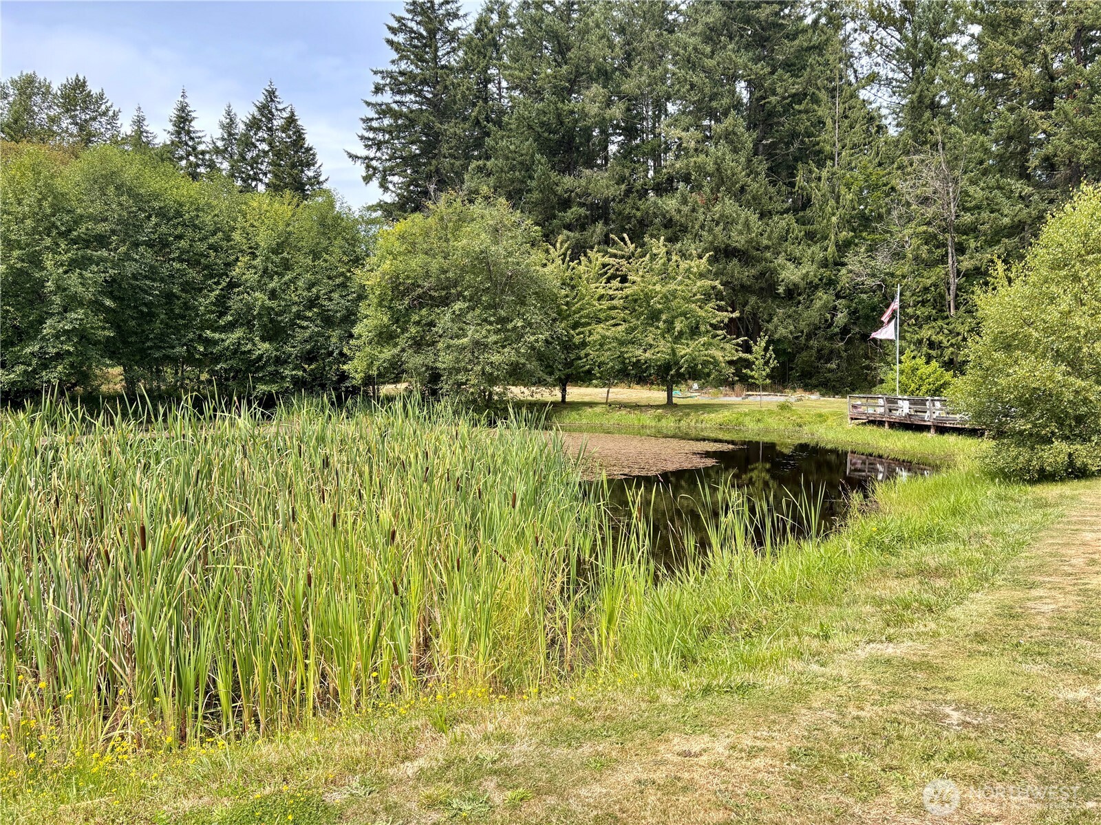 38519 Eatonville Cut Off Road Property Photo 15
