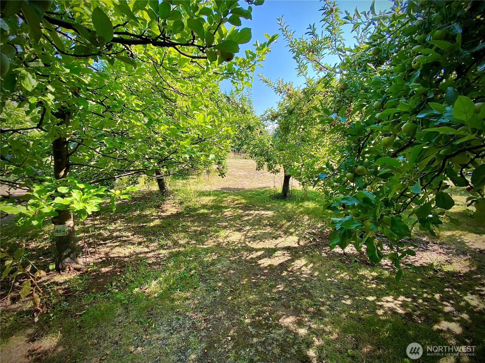 22709 Ne 123rd Circle Property Photo 32