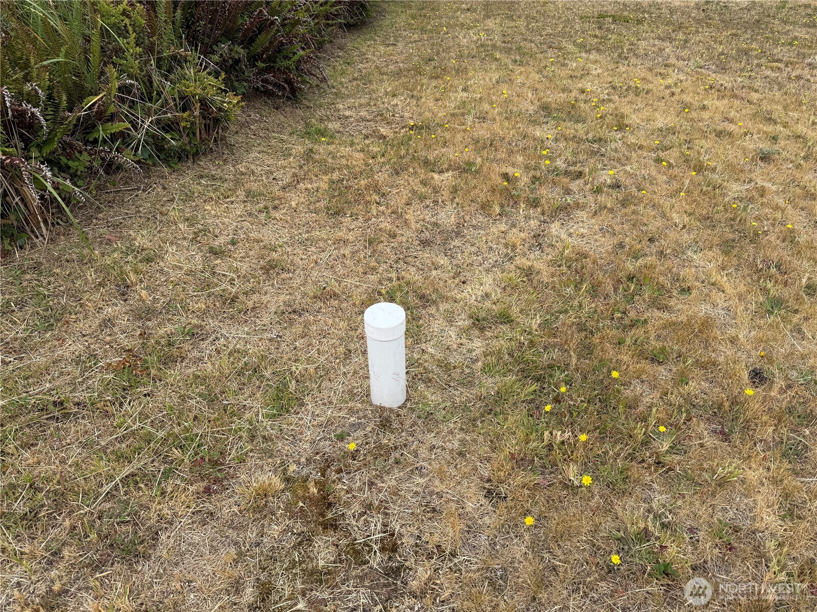 31105 G Street Property Photo 11