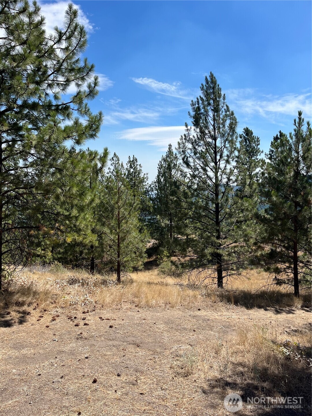 20 Doe Mountain Road Property Photo 13