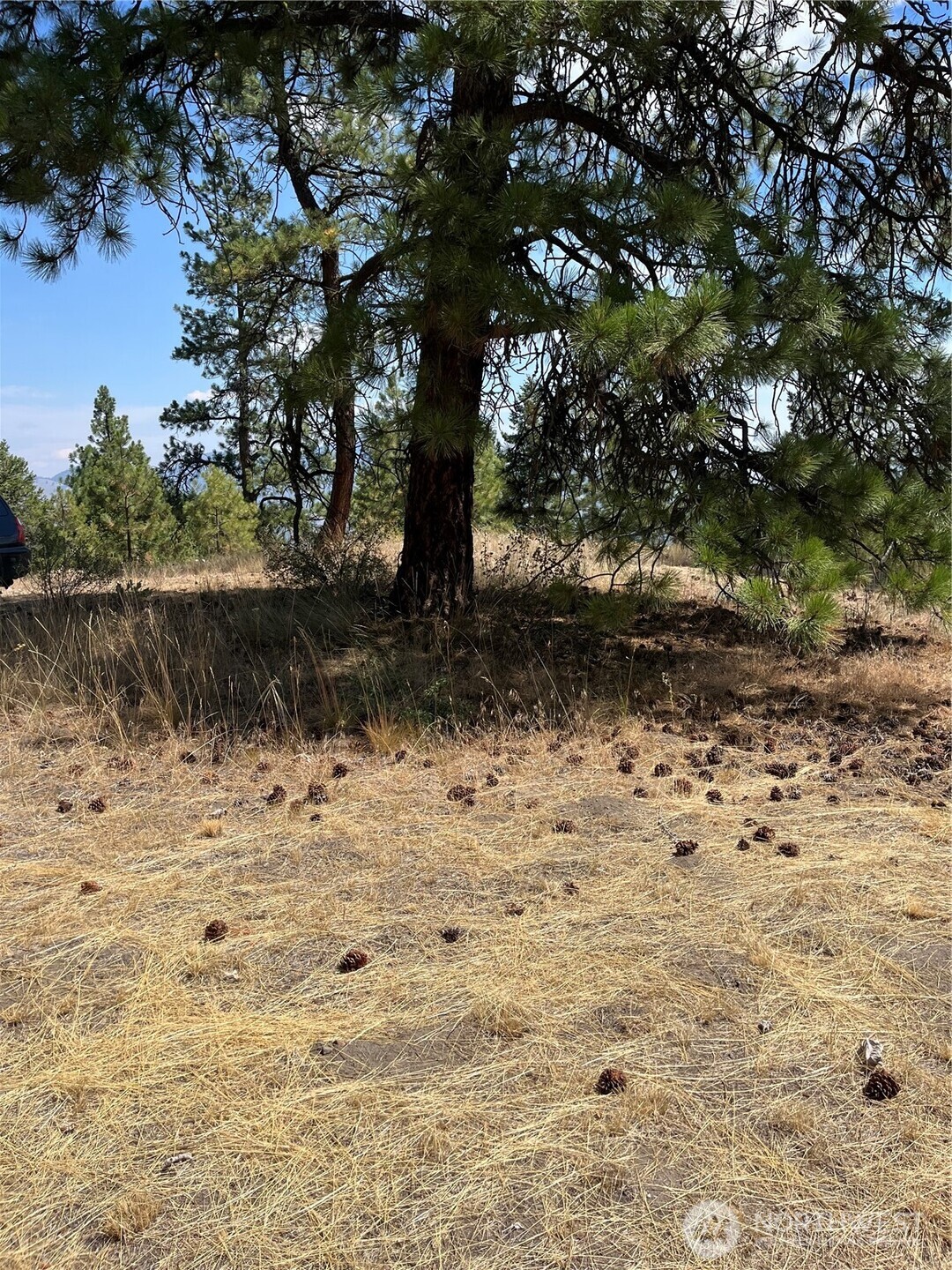20 Doe Mountain Road Property Photo 15