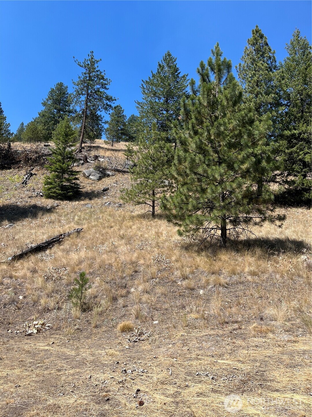 20 Doe Mountain Road Property Photo 16