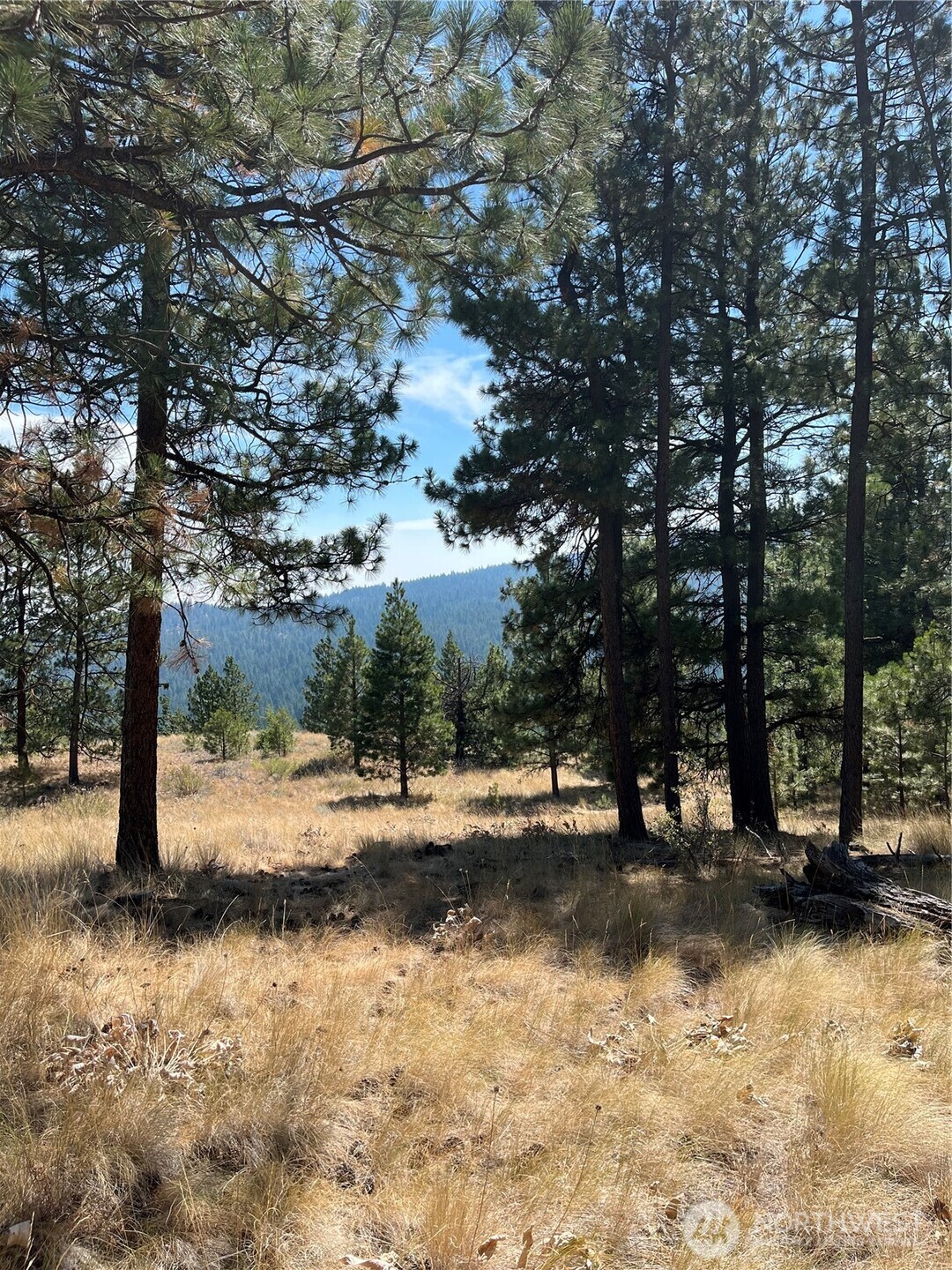 20 Doe Mountain Road Property Photo 18