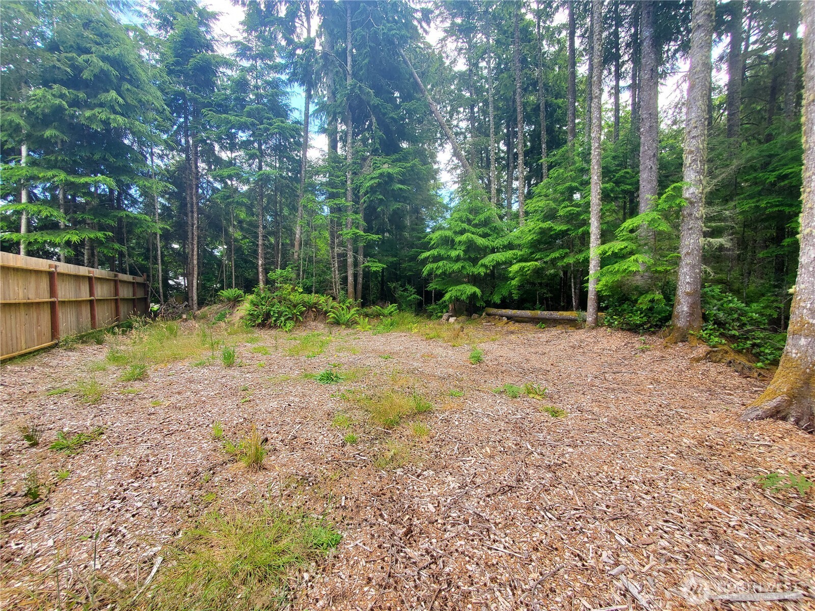 736 Chenois Avenue Property Photo 3