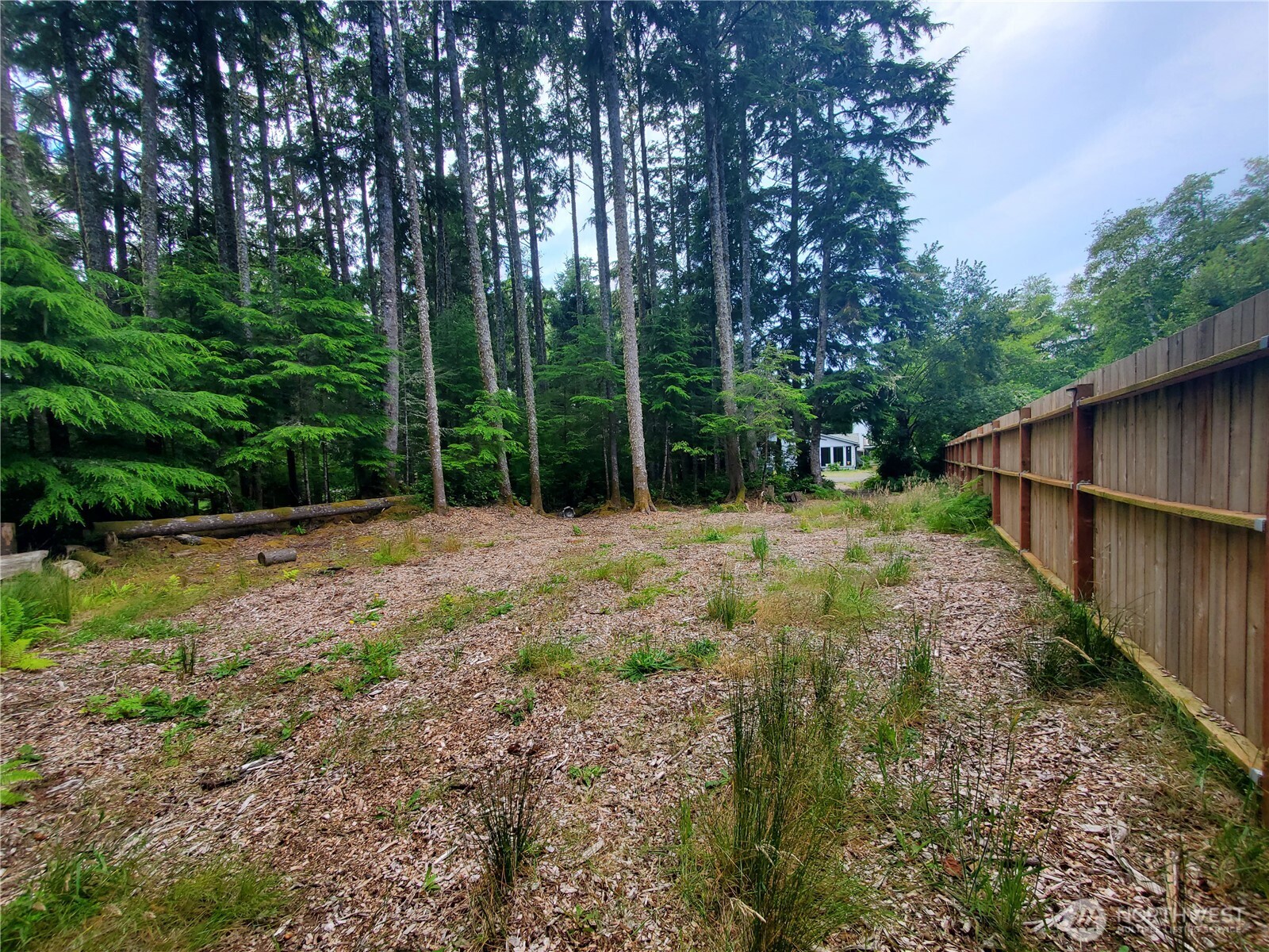 736 Chenois Avenue Property Photo 4