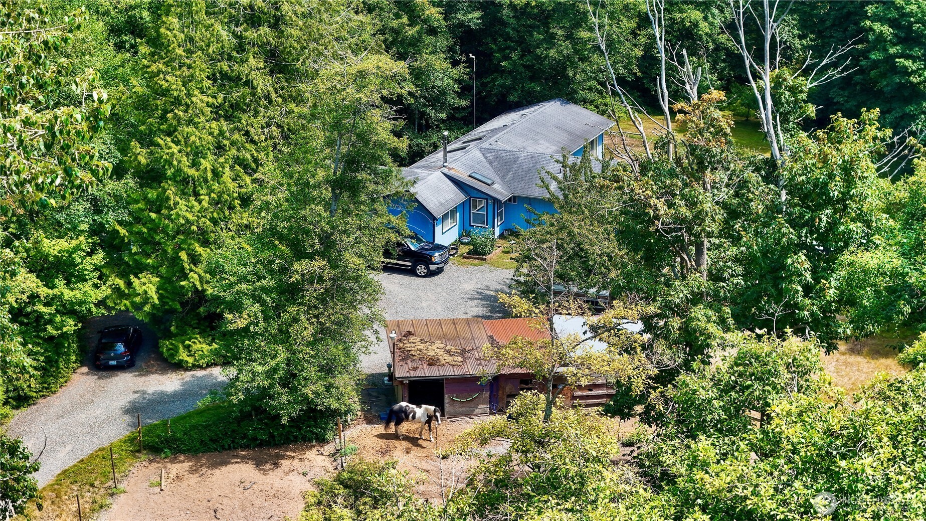 4036 Wynn Road Property Photo 36