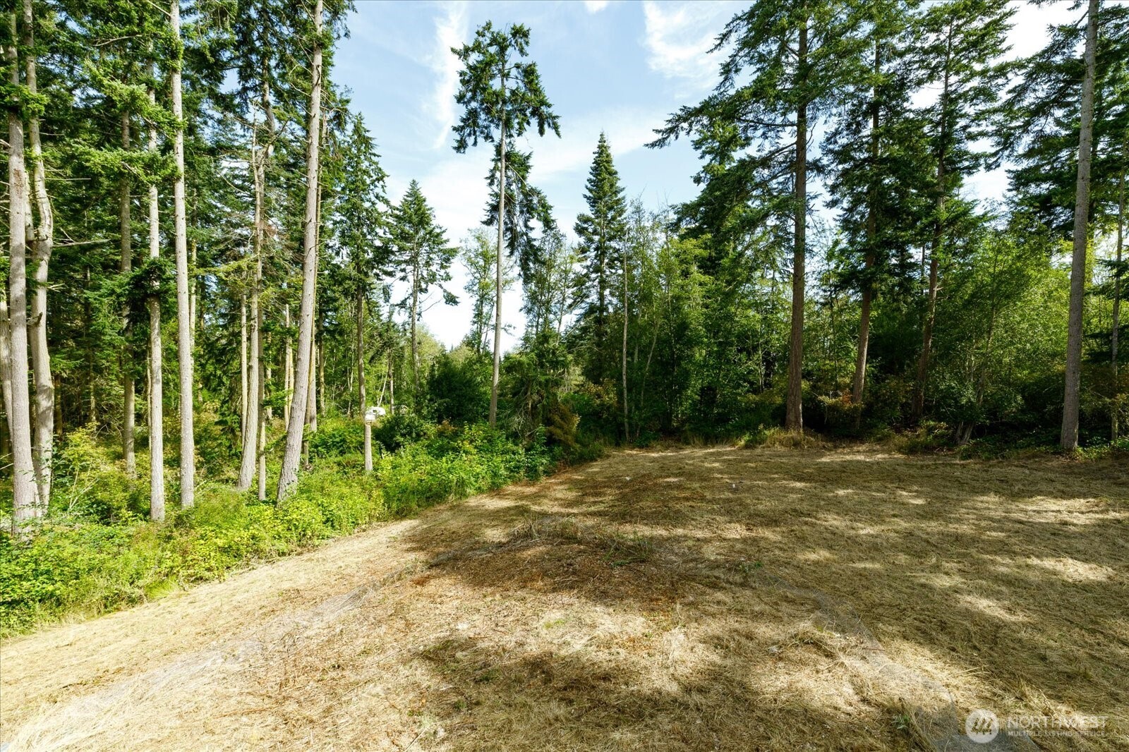 1012 Star Flower Road Property Photo 25
