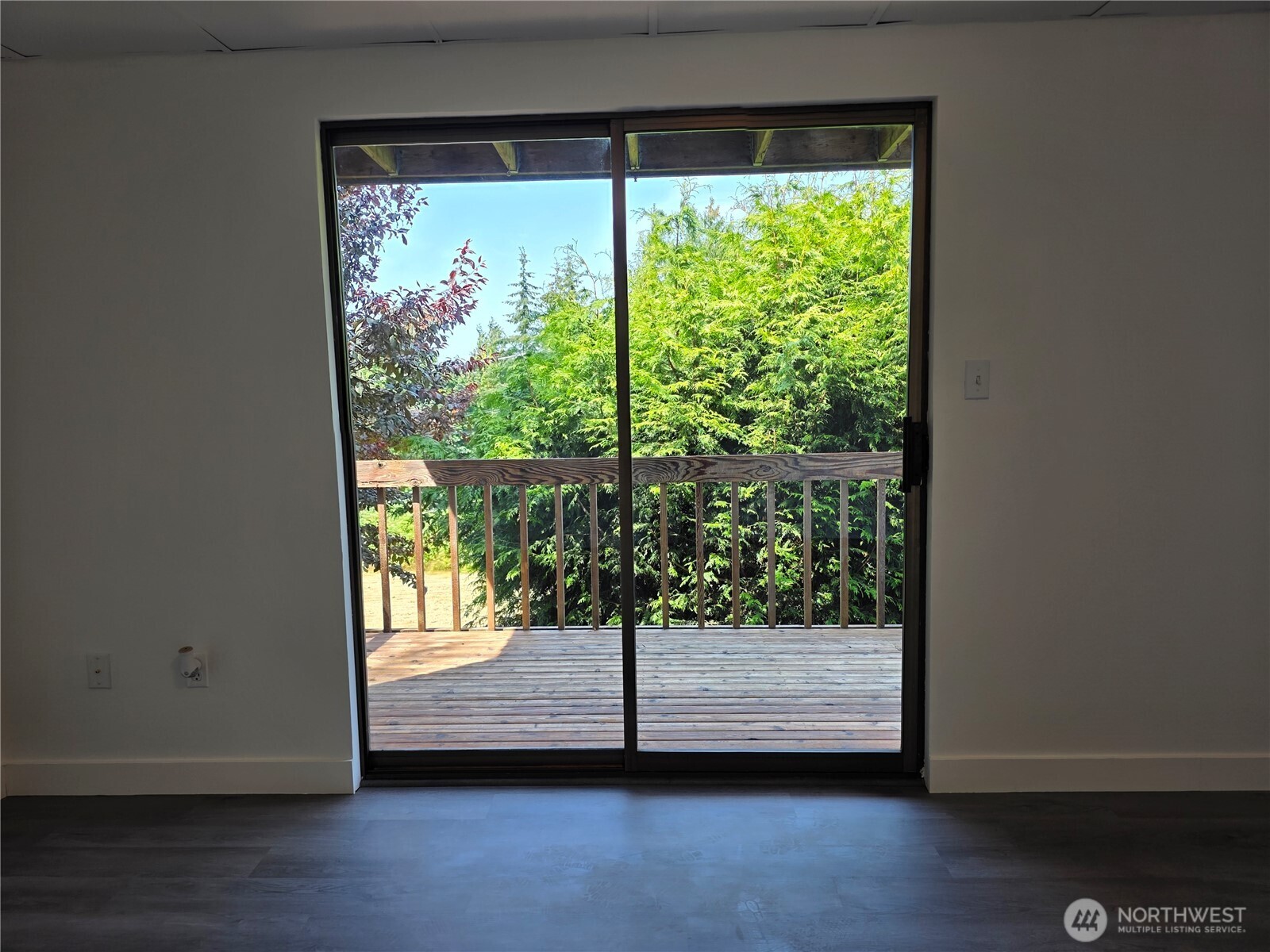 184 Belvedere Street 1 Property Photo 26