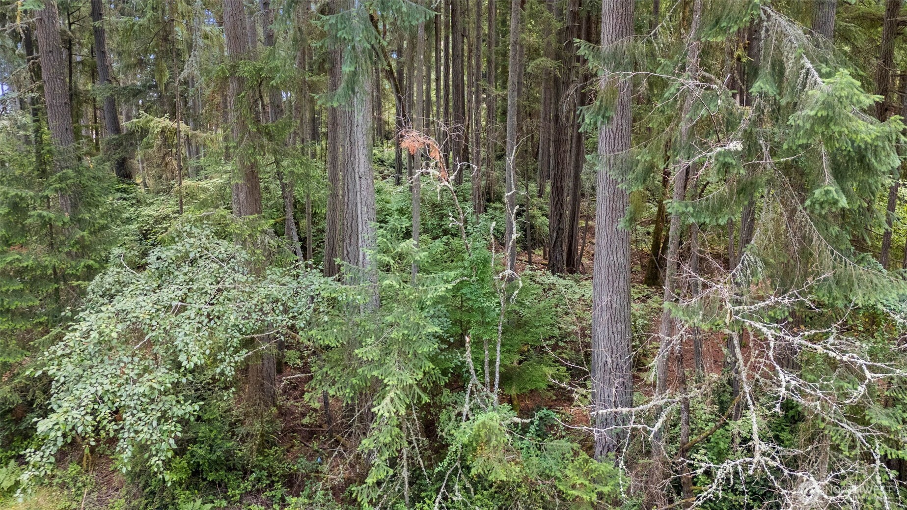 10512 Matthew Property Photo 13