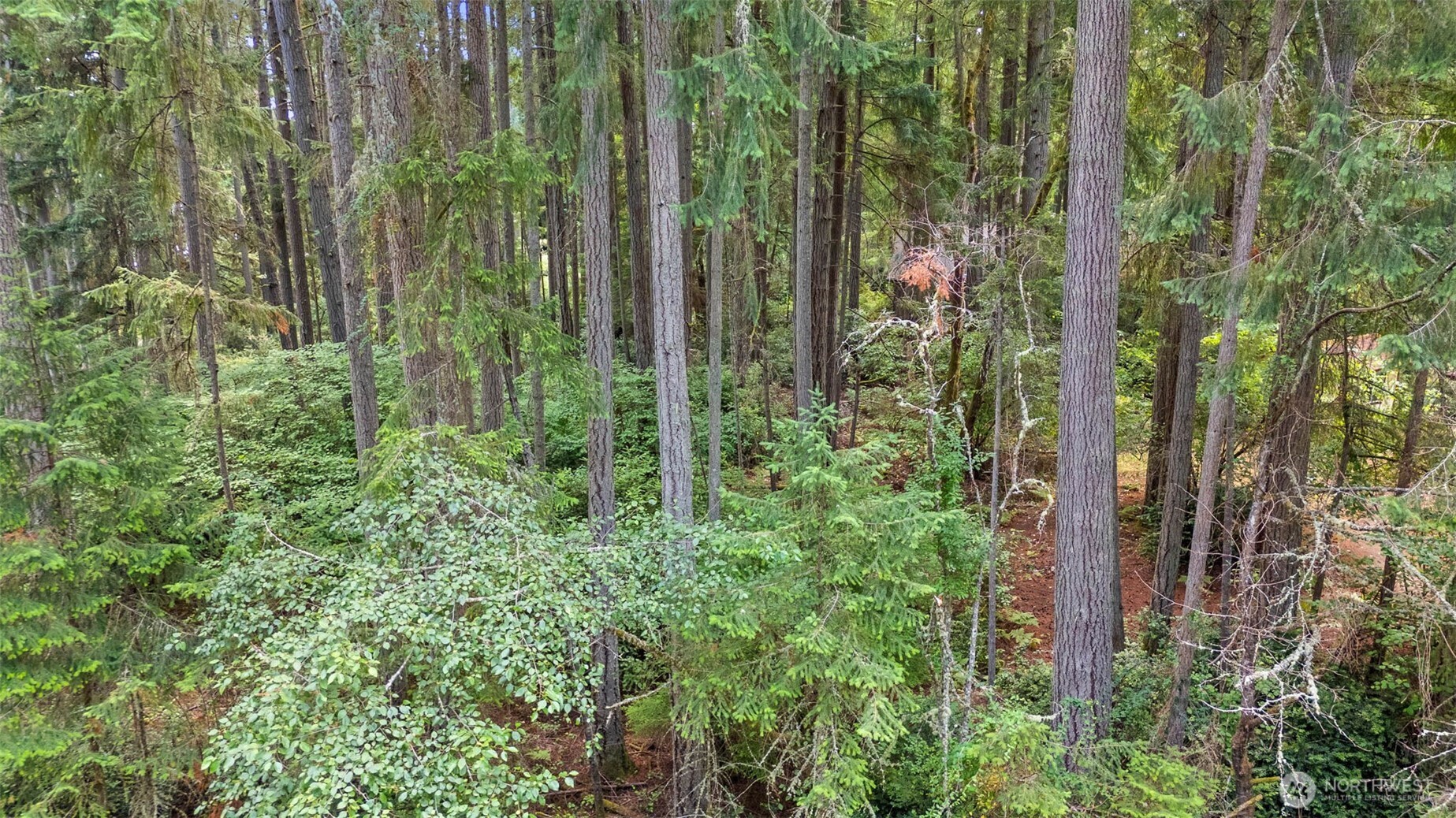 10512 Matthew Property Photo 14