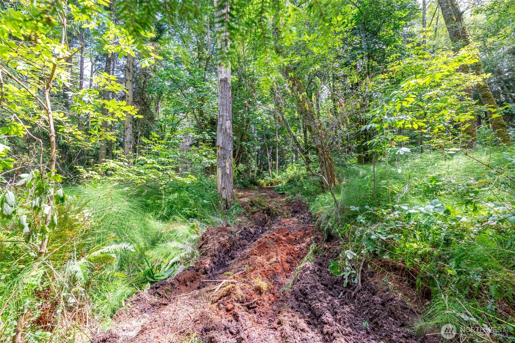 0 Nhn Tranquility Place Property Photo 11
