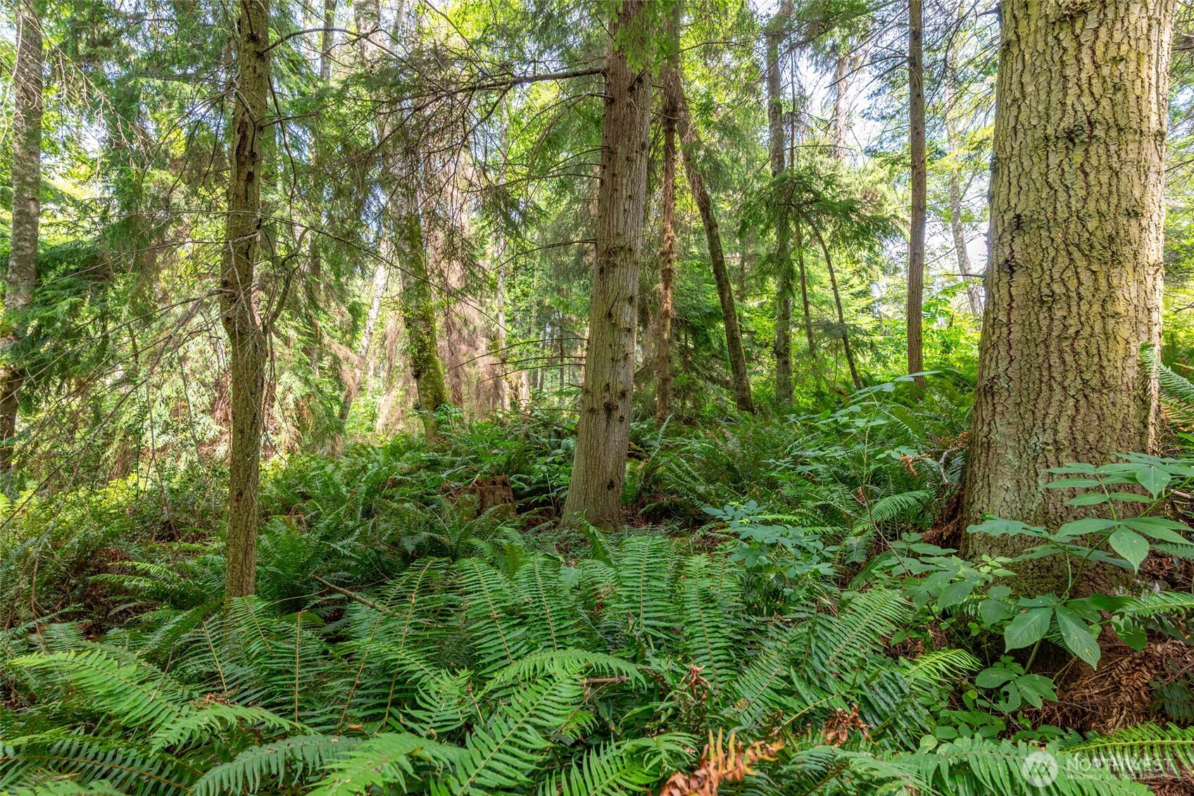 0 Nhn Tranquility Place Property Photo 16