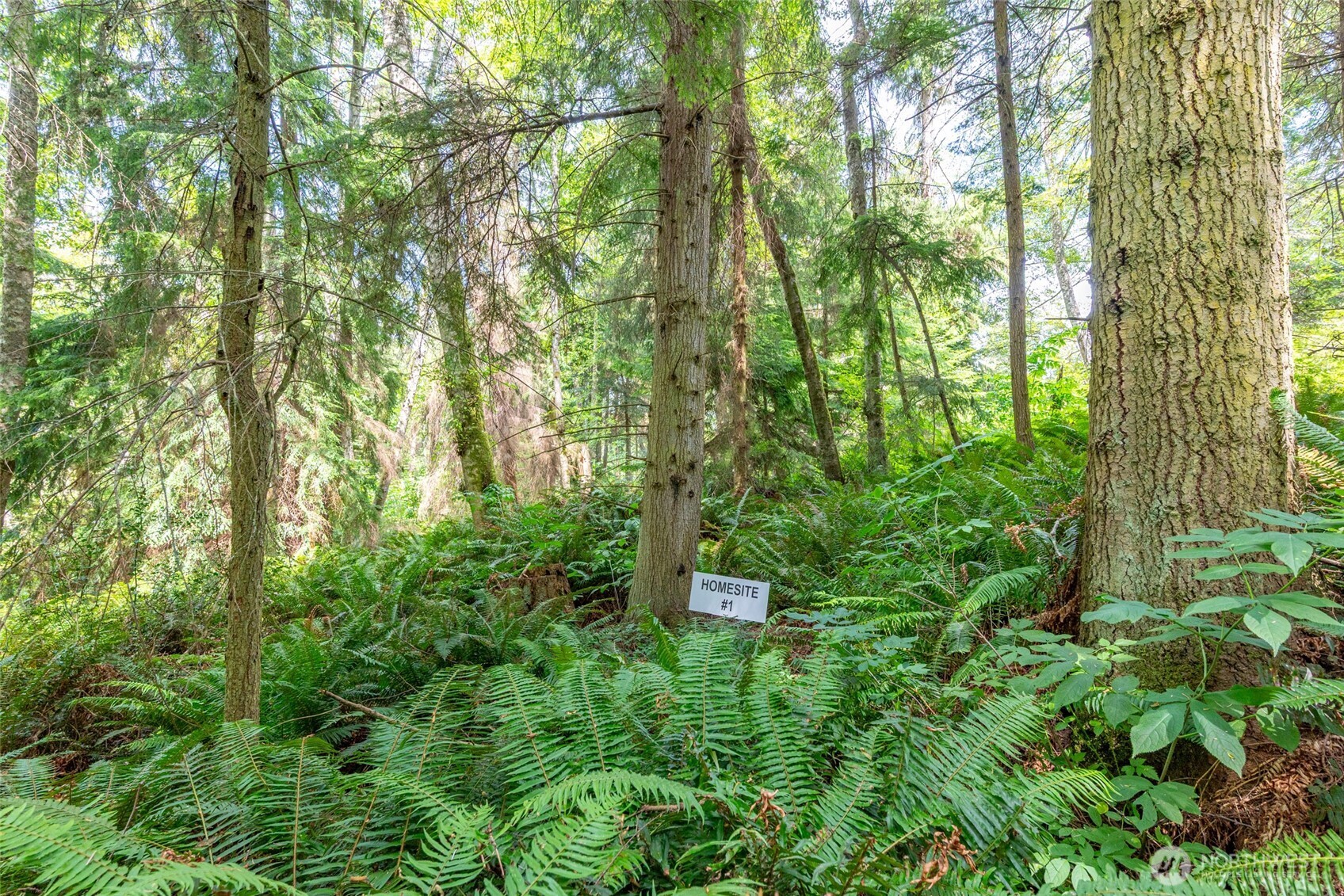 0 Nhn Tranquility Place Property Photo 17