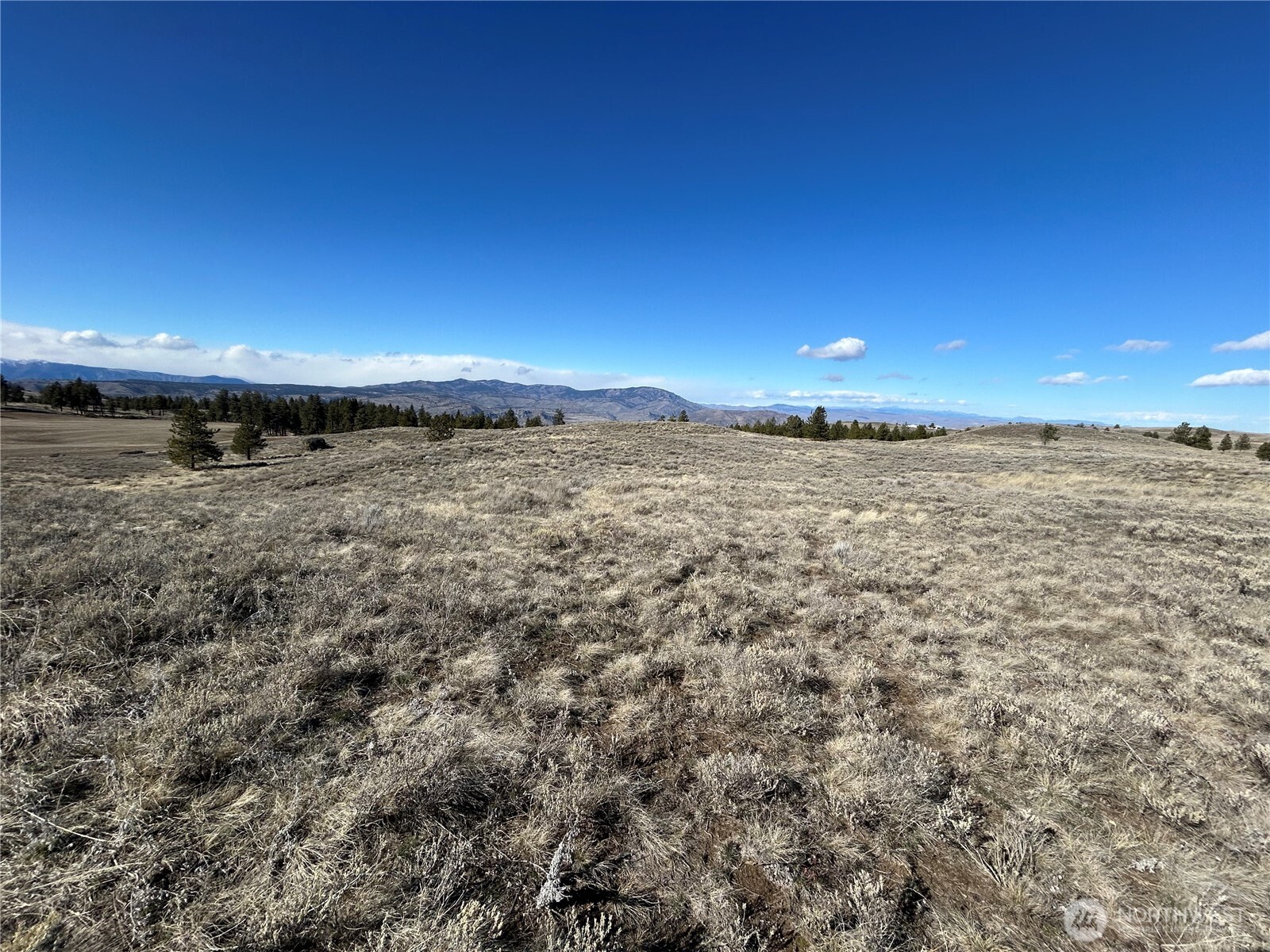 0 Columbia River Bluffs Road Property Photo 11
