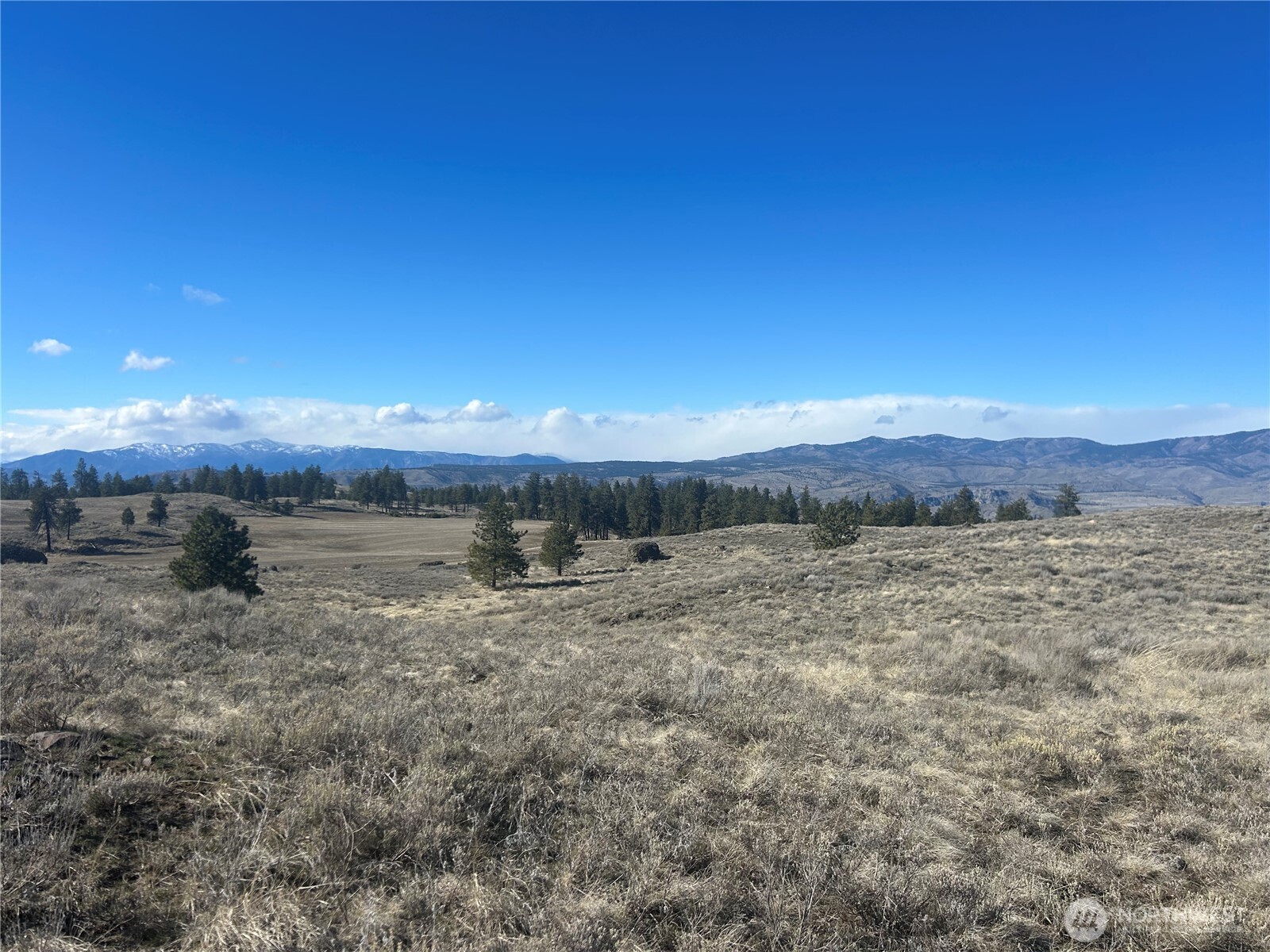 0 Columbia River Bluffs Road Property Photo 12