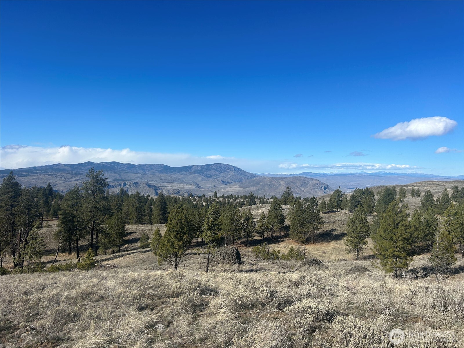 0 Columbia River Bluffs Road Property Photo 13
