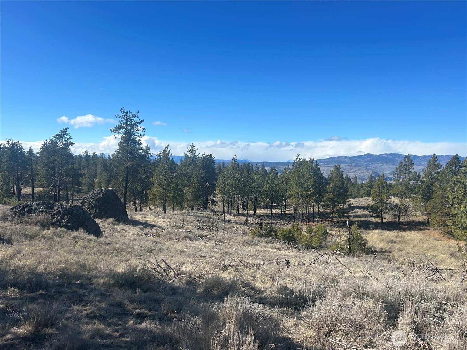 0 Columbia River Bluffs Road Property Photo 14