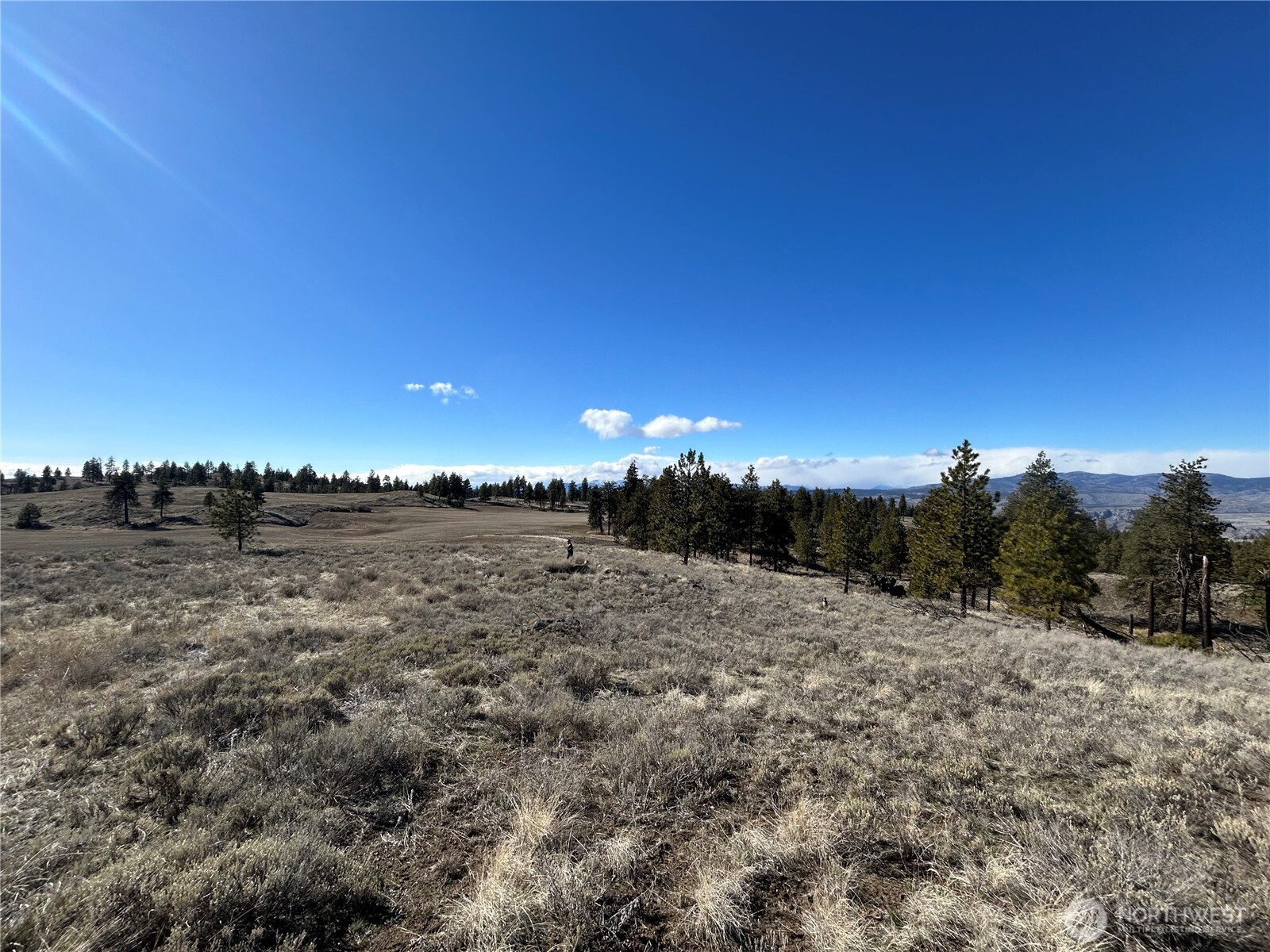 0 Columbia River Bluffs Road Property Photo 15