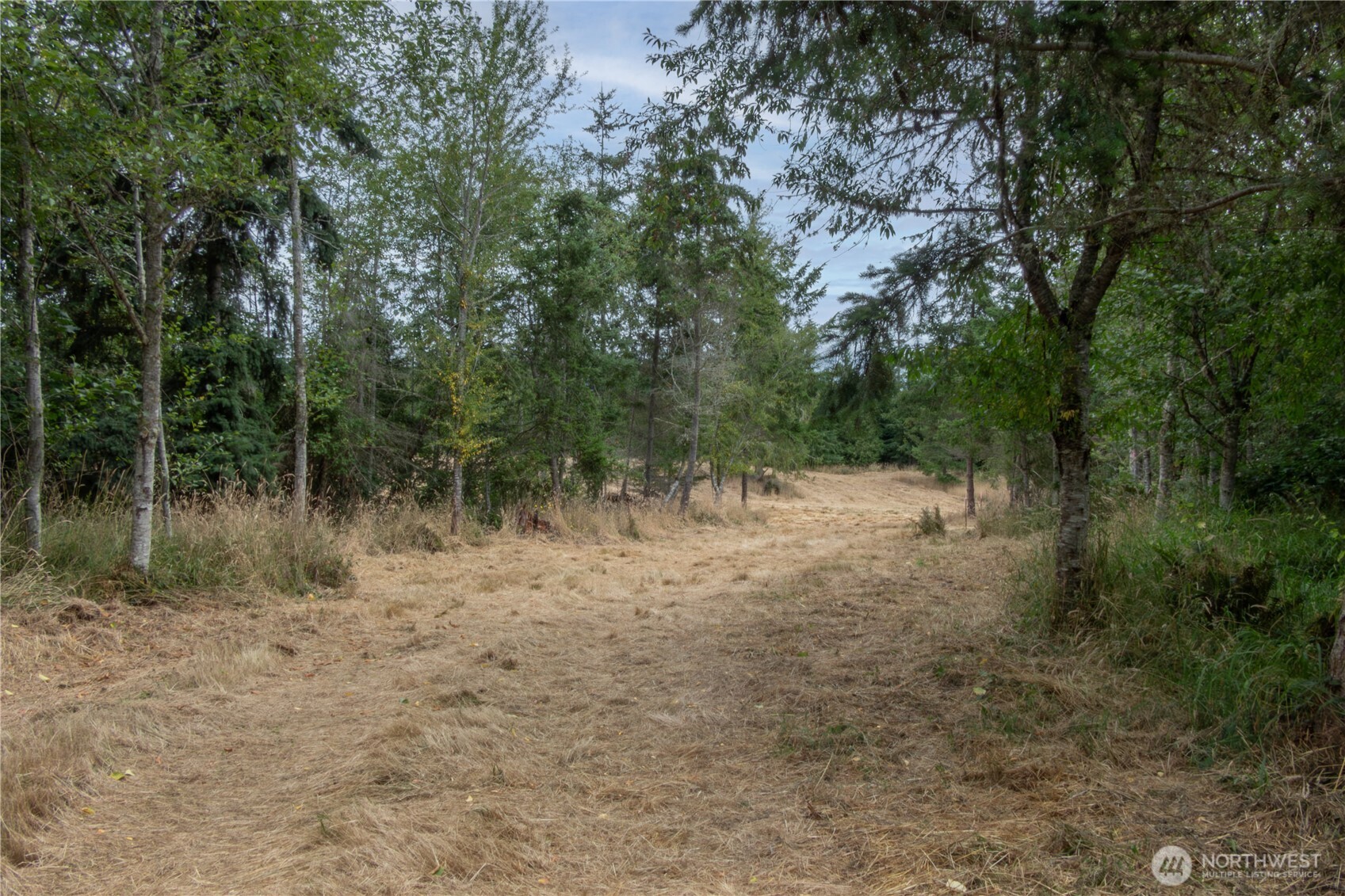 646 Tributary Lane Property Photo 5