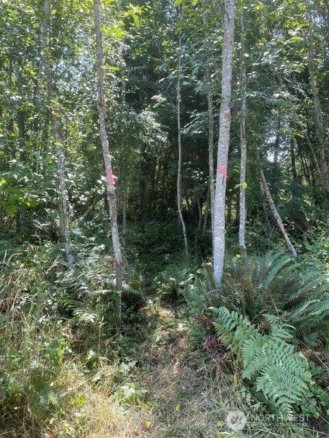 646 Tributary Lane Property Photo 7