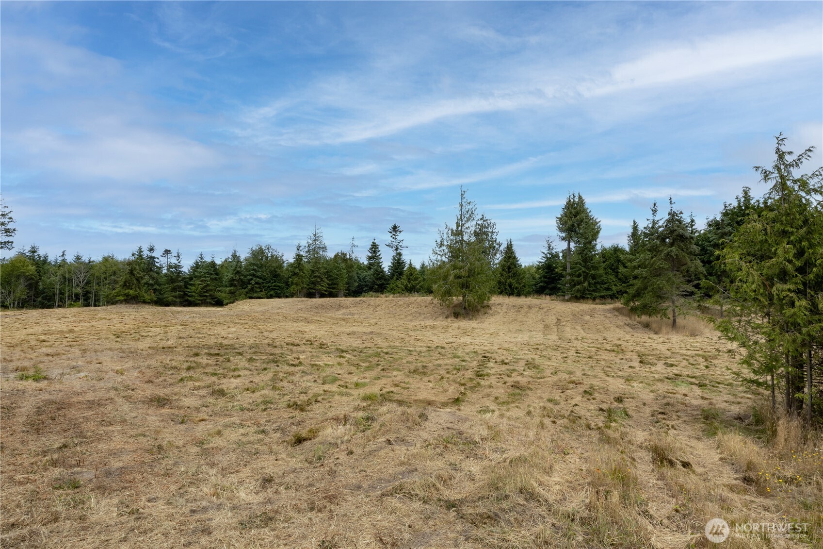646 Tributary Lane Property Photo 8