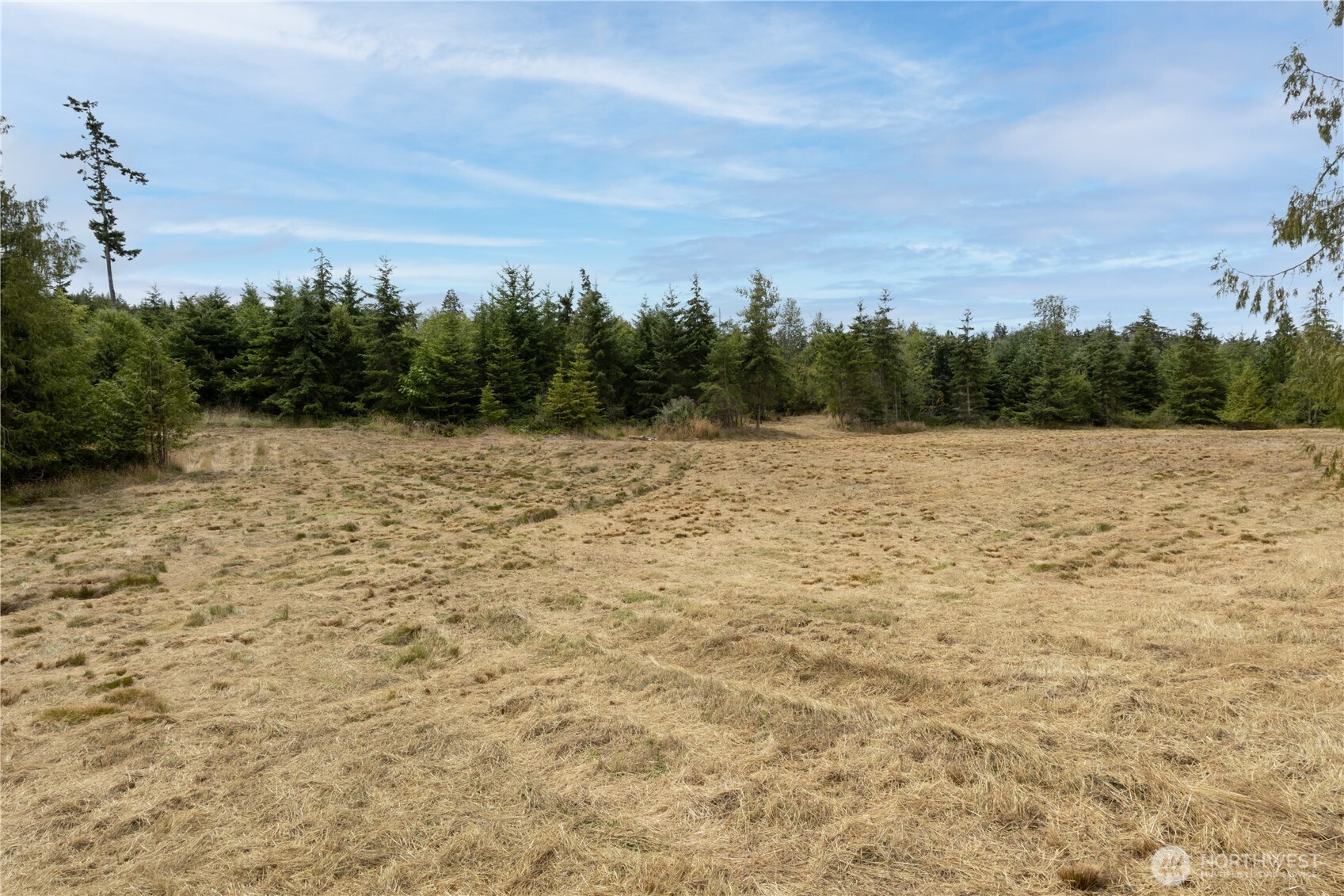 646 Tributary Lane Property Photo 10