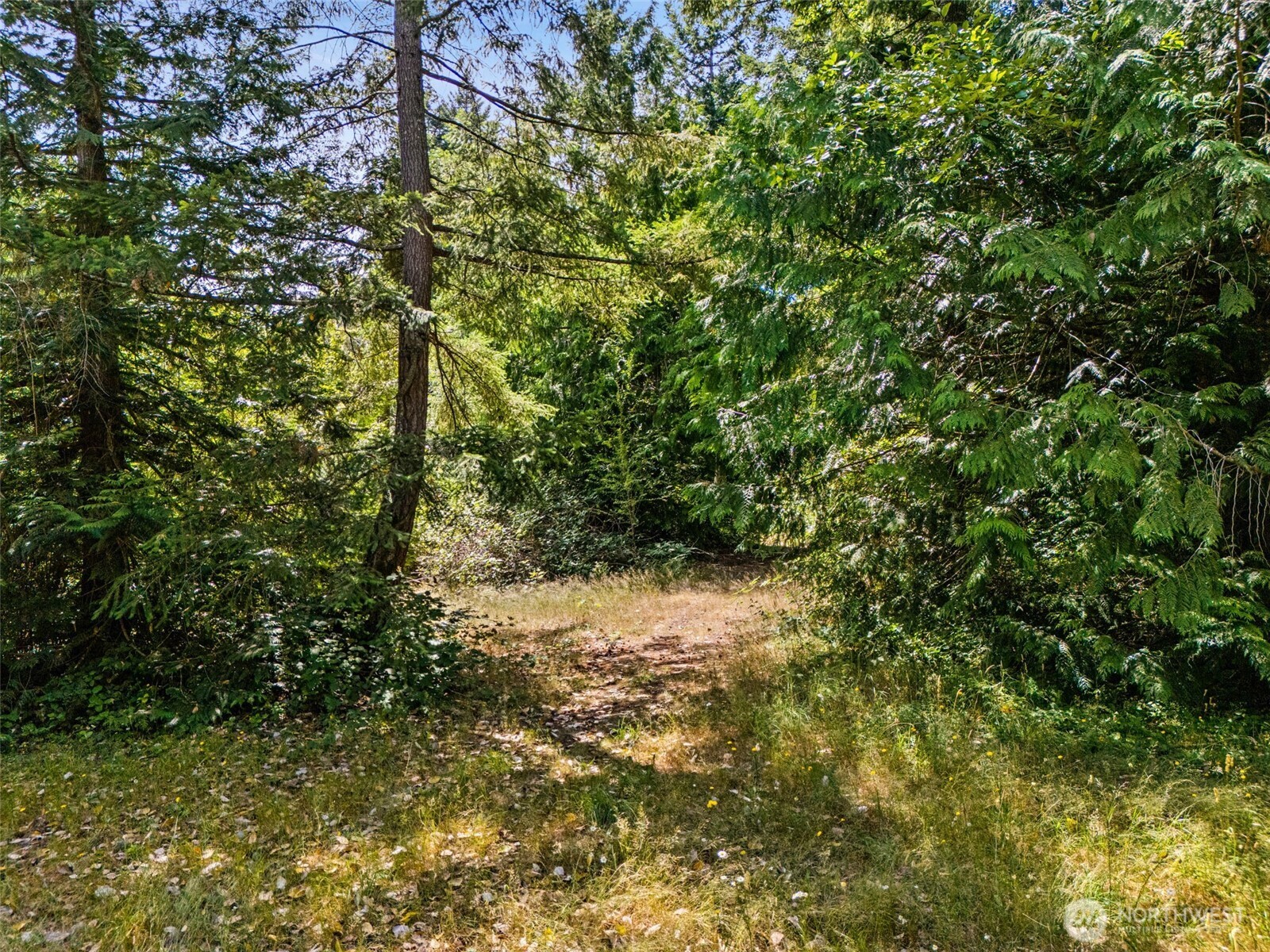 0 Rouse Road Property Photo 4