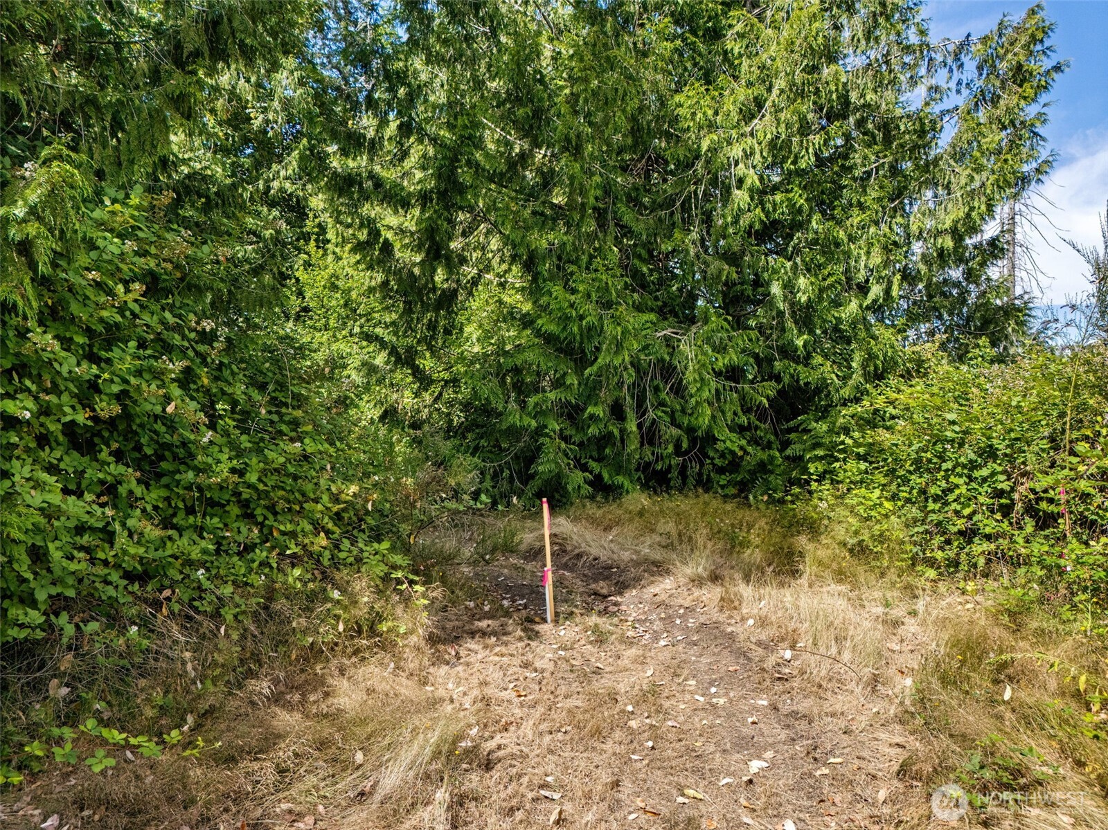 0 Rouse Road Property Photo 6