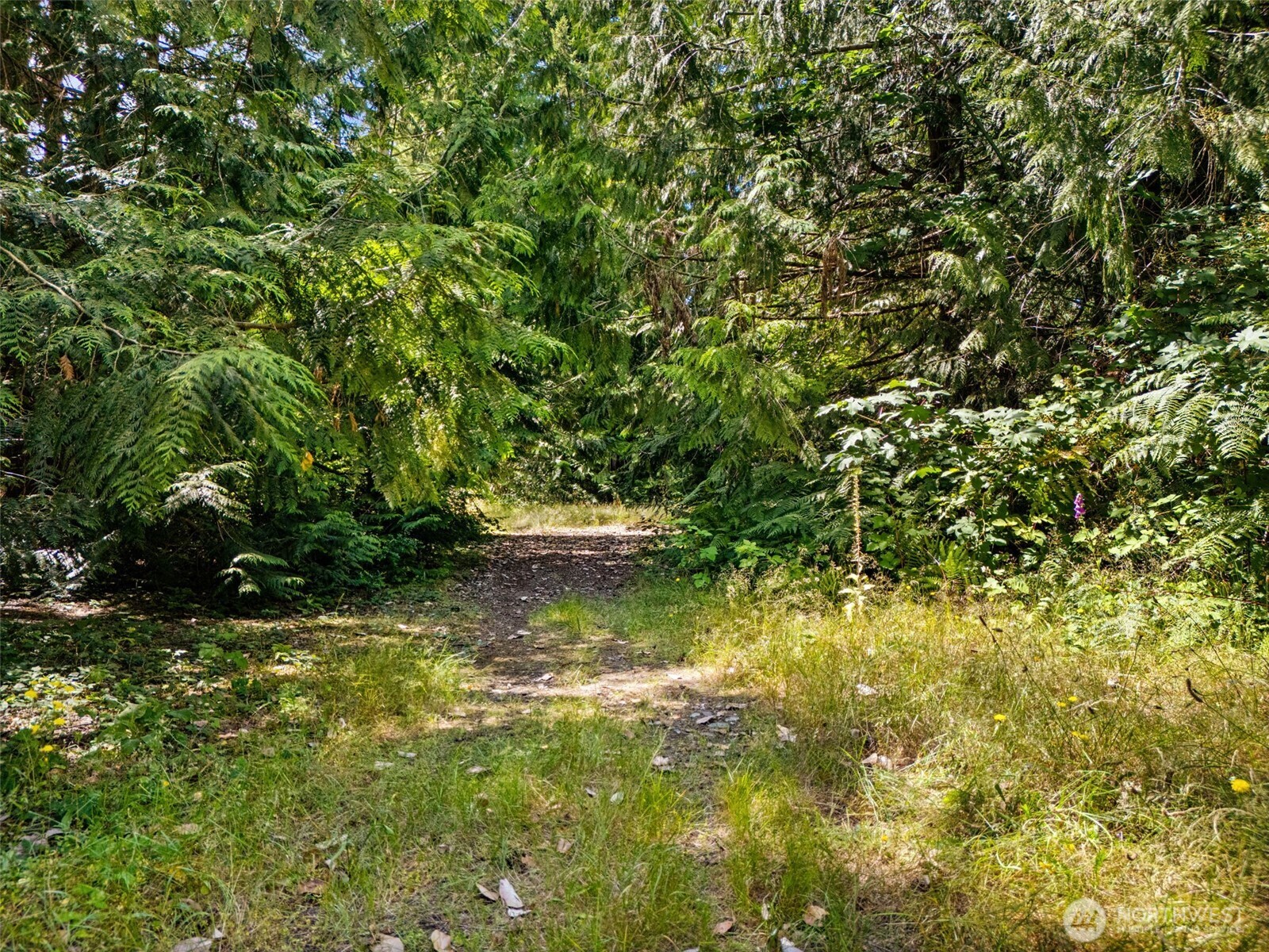 0 Rouse Road Property Photo 7