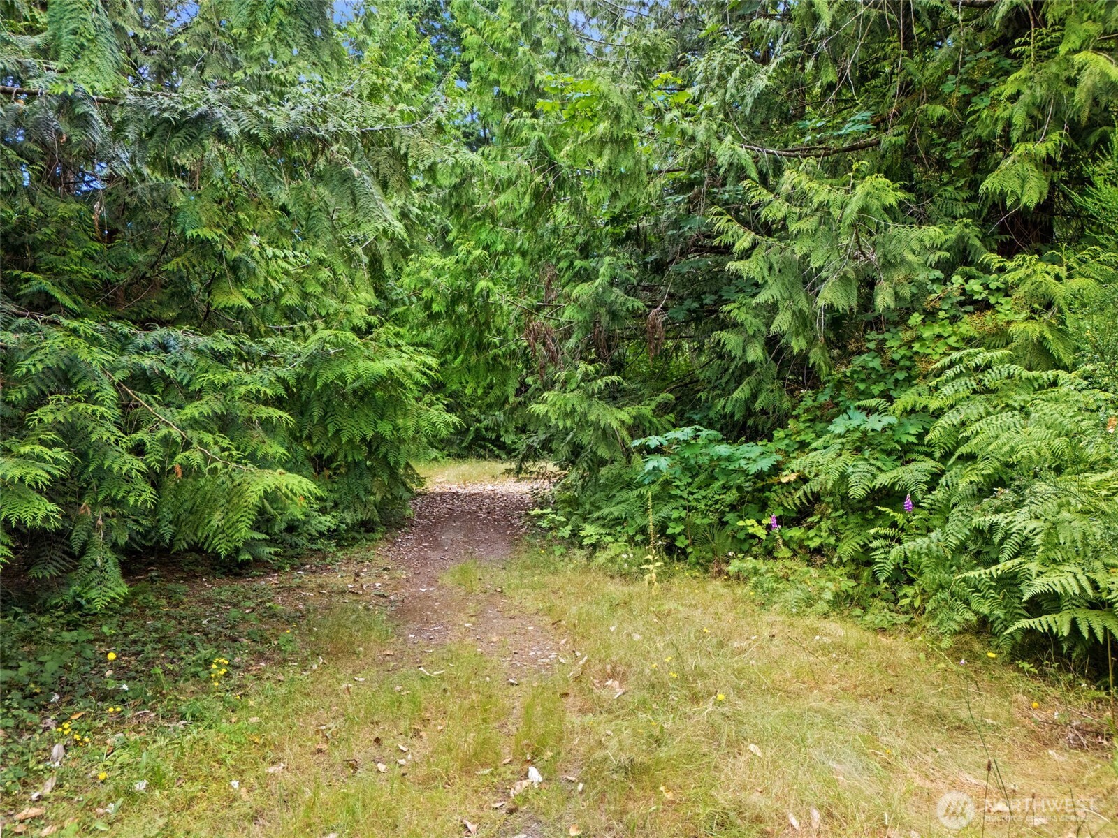 0 Rouse Road Property Photo 9