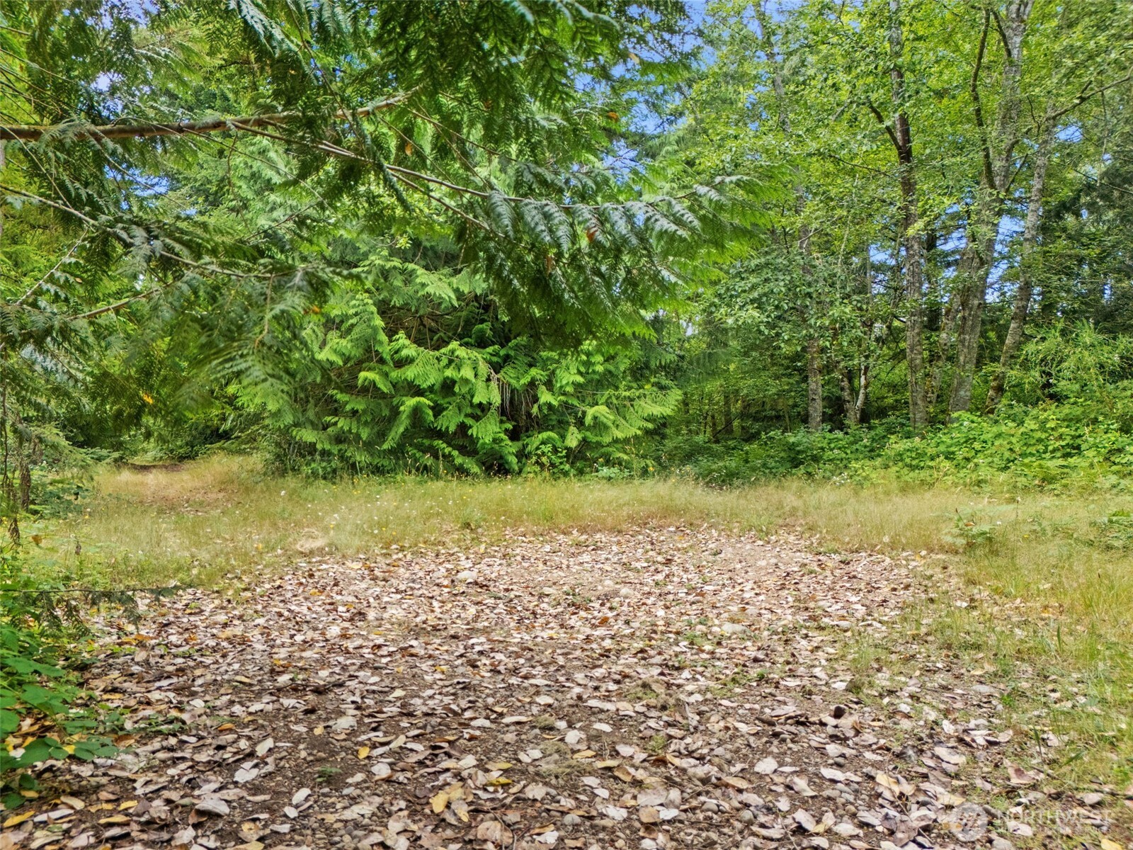 0 Rouse Road Property Photo 10