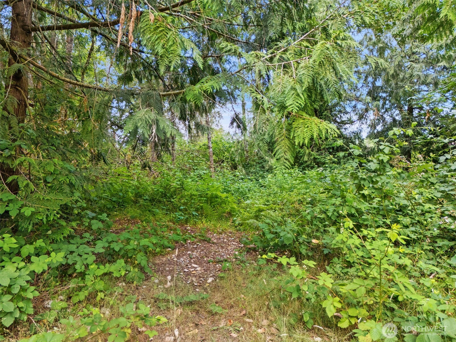 0 Rouse Road Property Photo 11