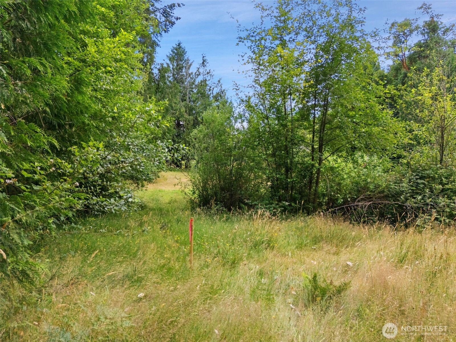 0 Rouse Road Property Photo 13