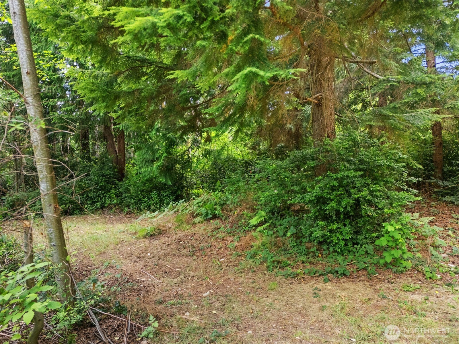 0 Rouse Road Property Photo 15