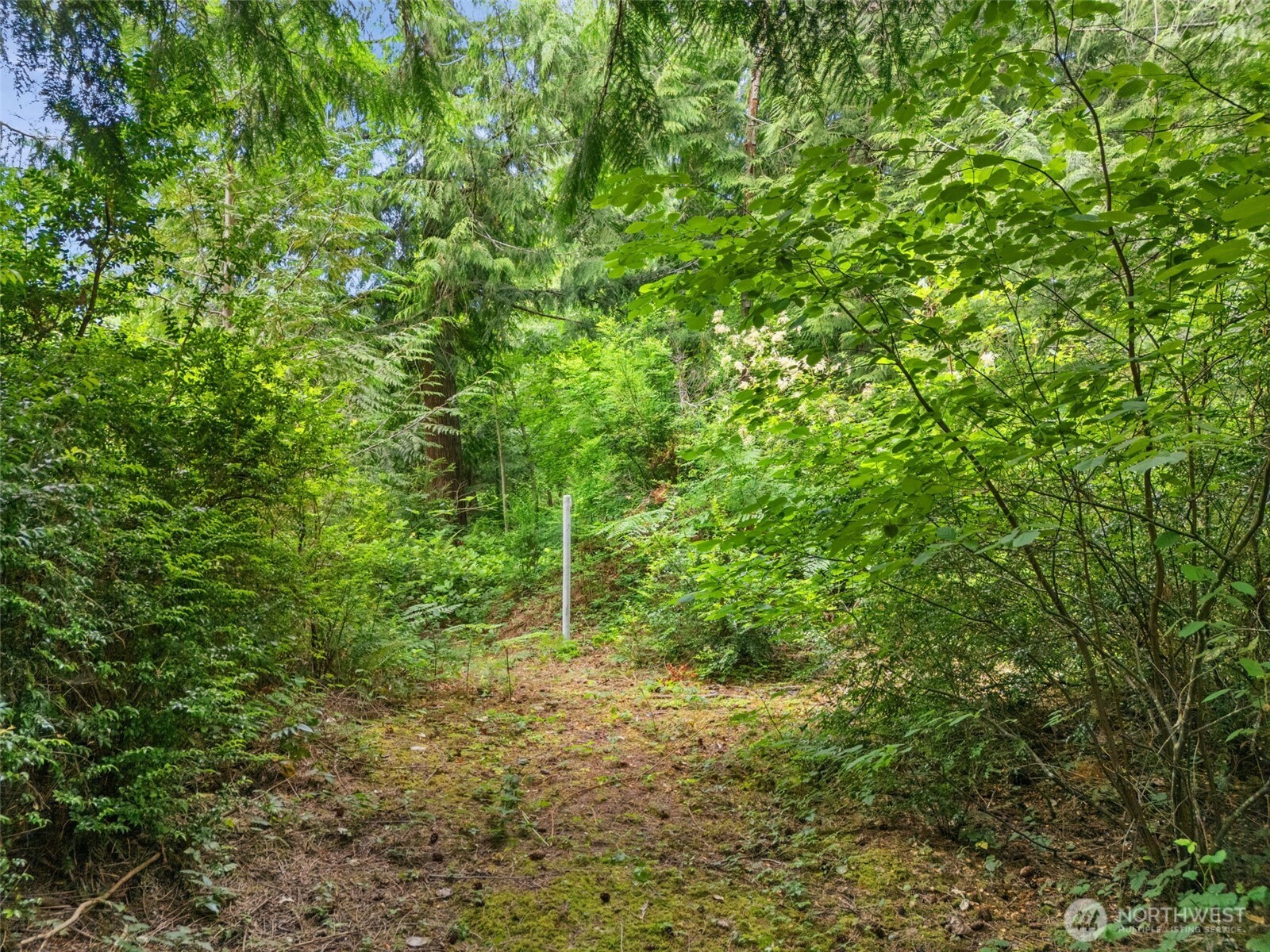 0 Rouse Road Property Photo 18