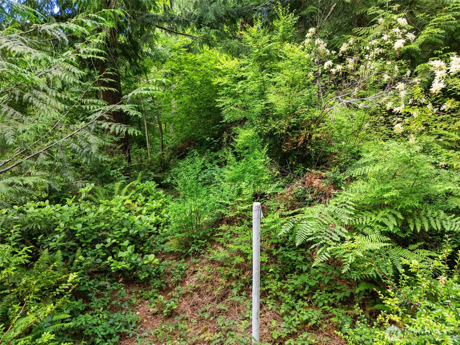 0 Rouse Road Property Photo 19