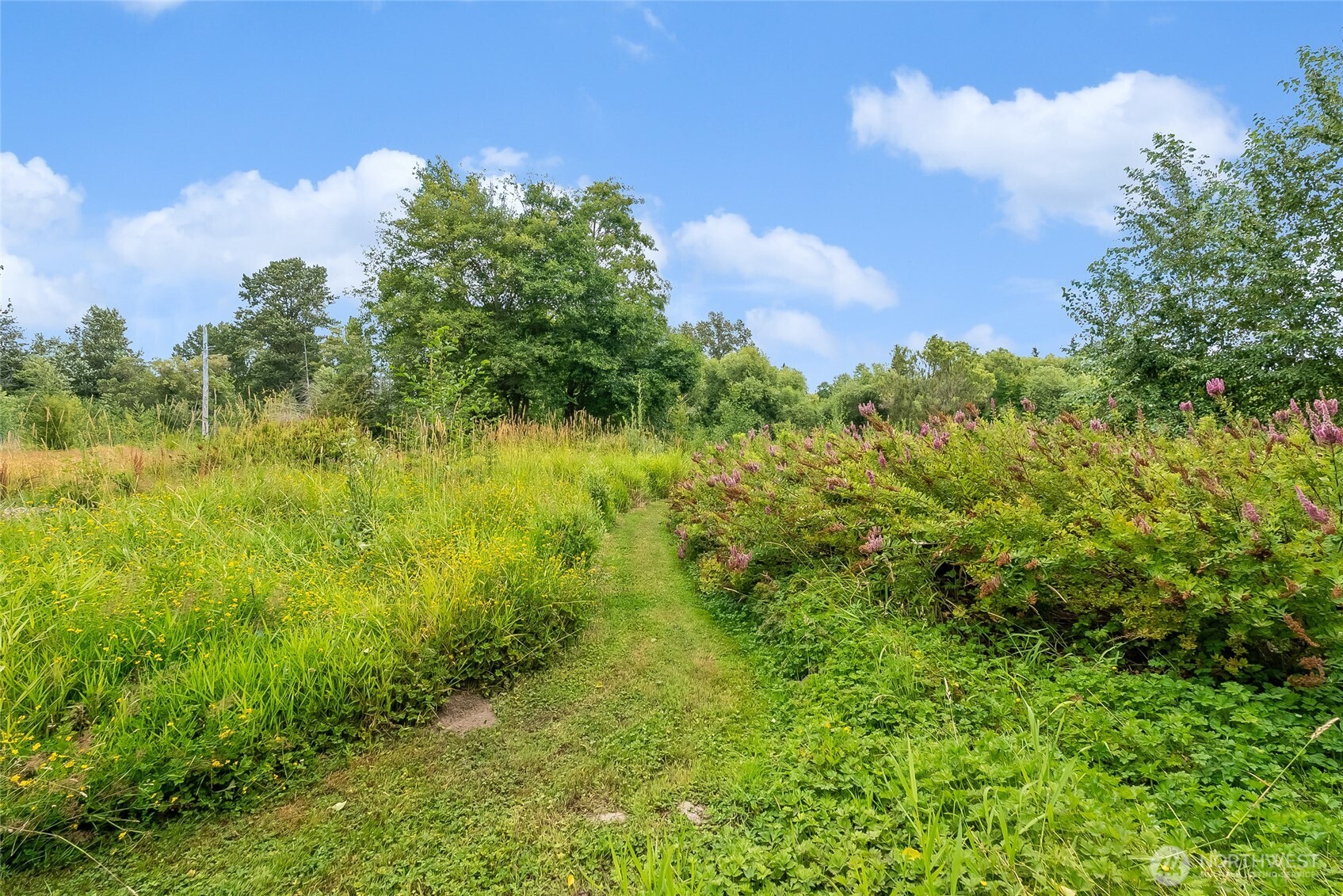 2559155 Property Photo 37