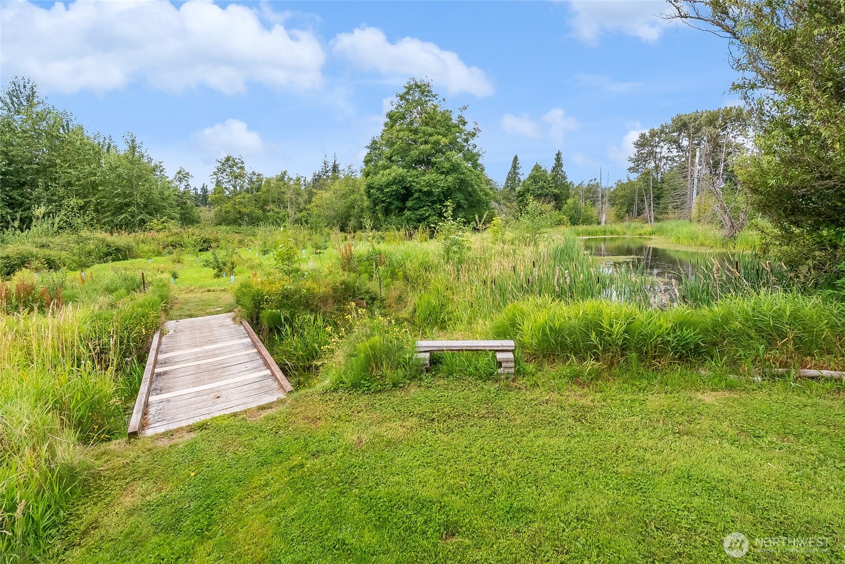 2559155 Property Photo 38