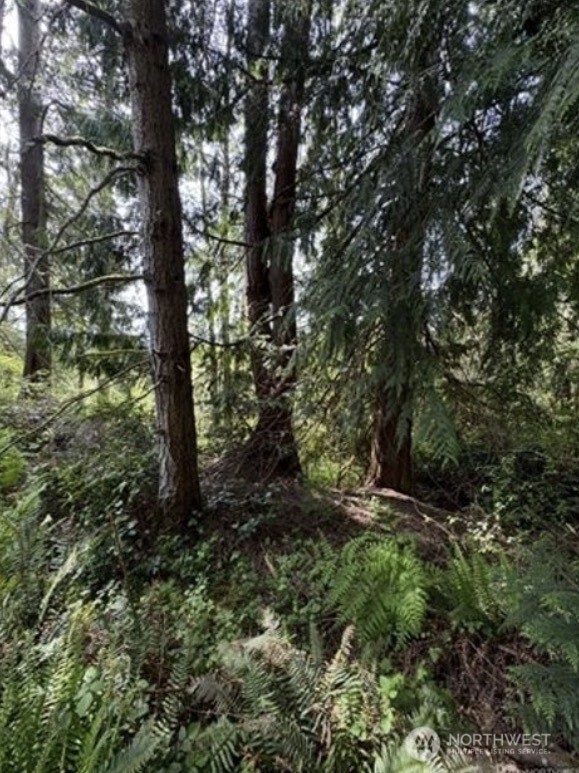 11106 Spruce Dr Property Photo 3