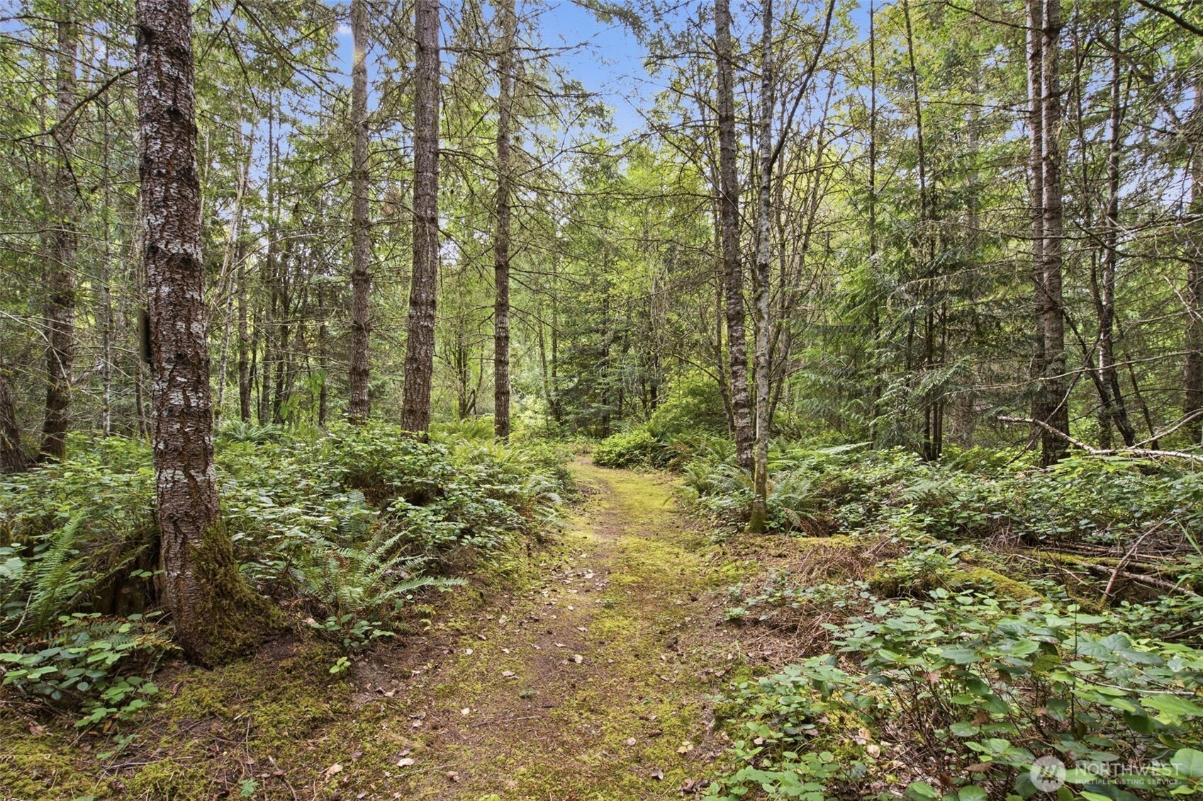 114 Headwaters Lane Property Photo 40