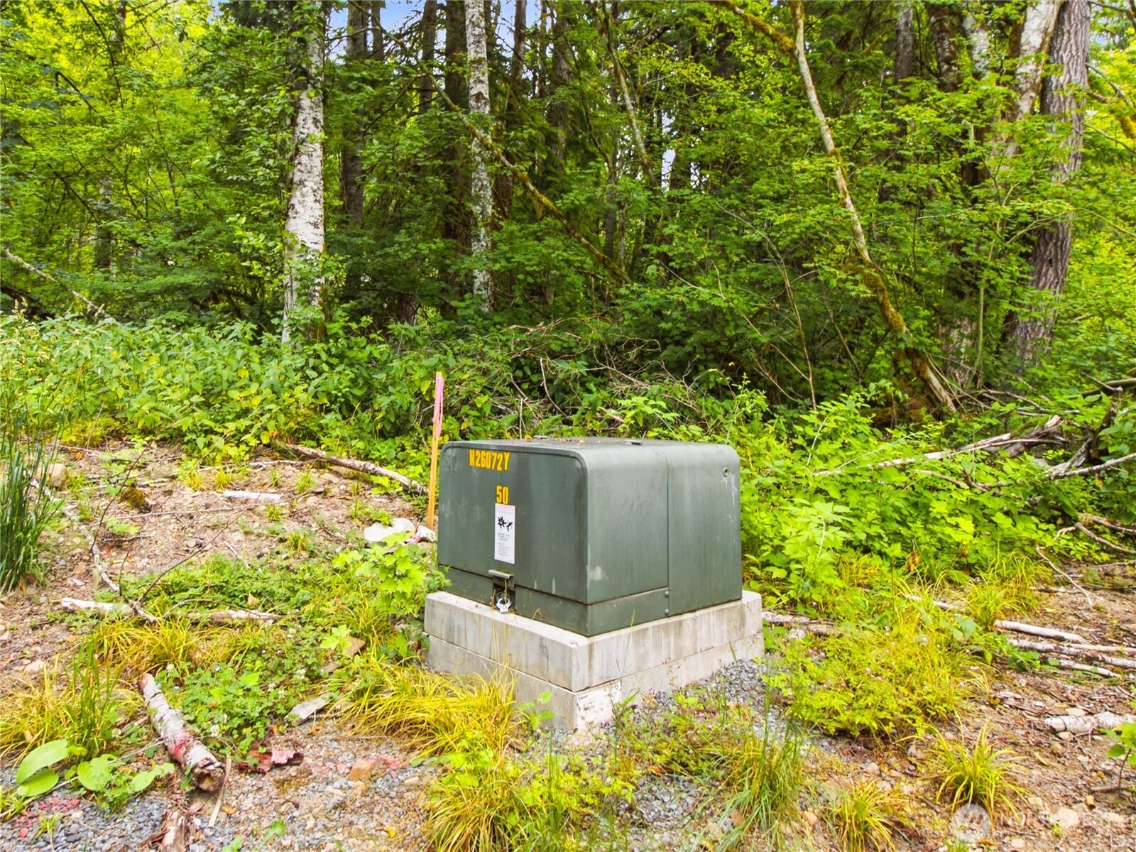31418 Mount Tahoma Canyon Road Property Photo 4