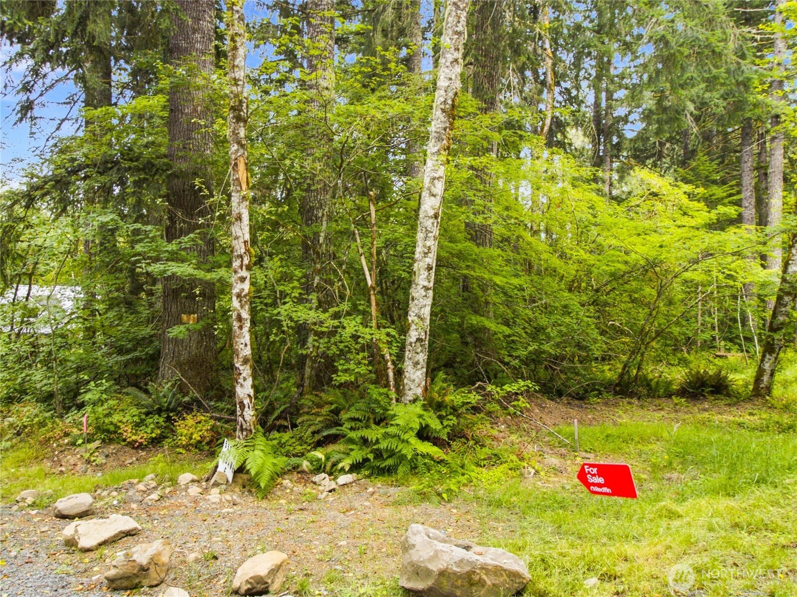 31418 Mount Tahoma Canyon Road Property Photo 8