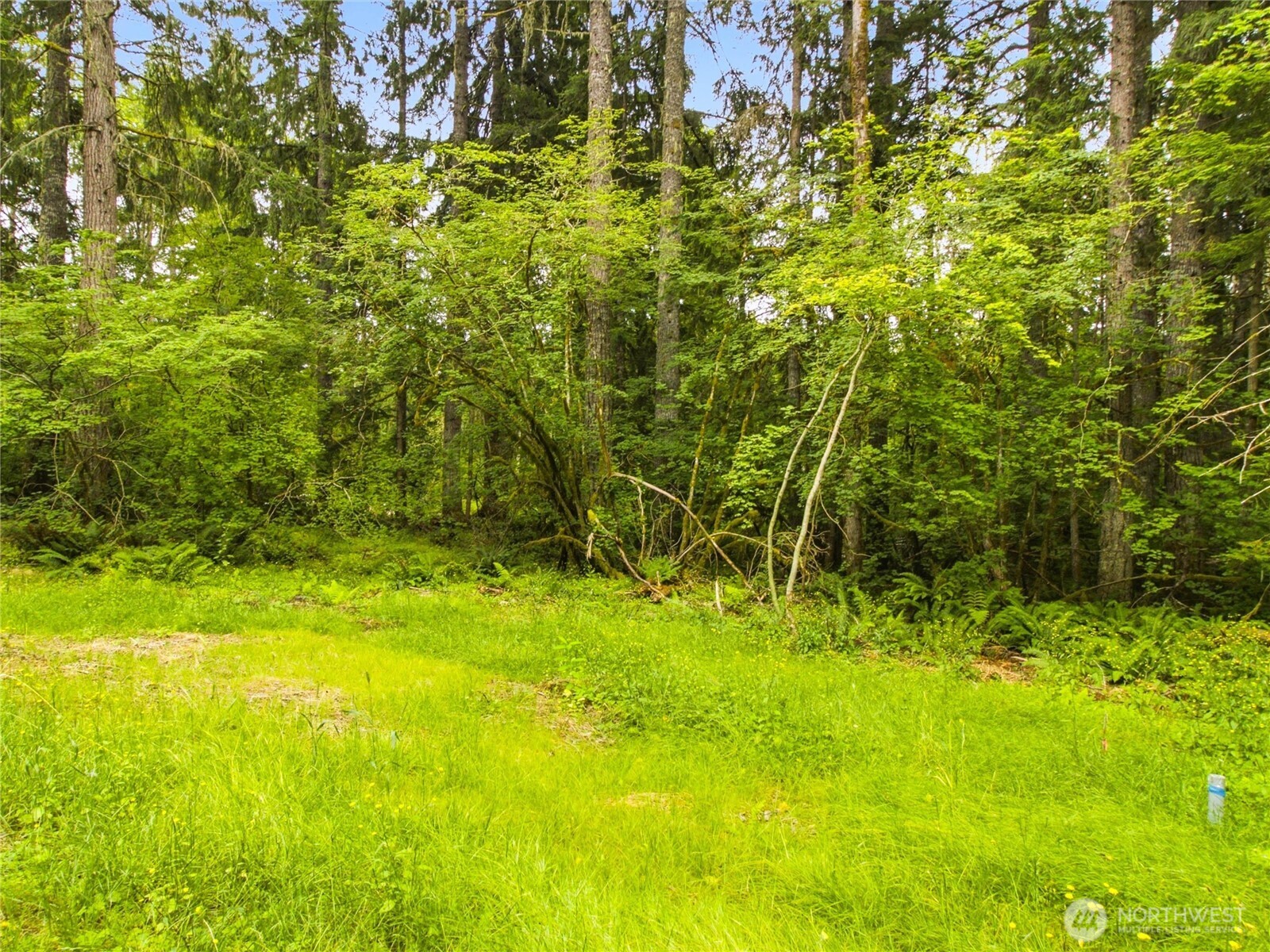 31418 Mount Tahoma Canyon Road Property Photo 10